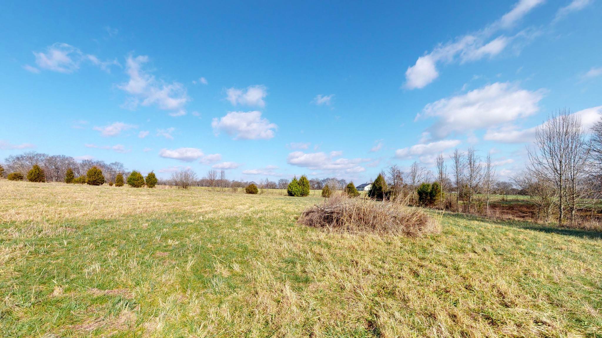 17. Land for Sale at Bradley Road Gallatin, Tennessee 37066 United States