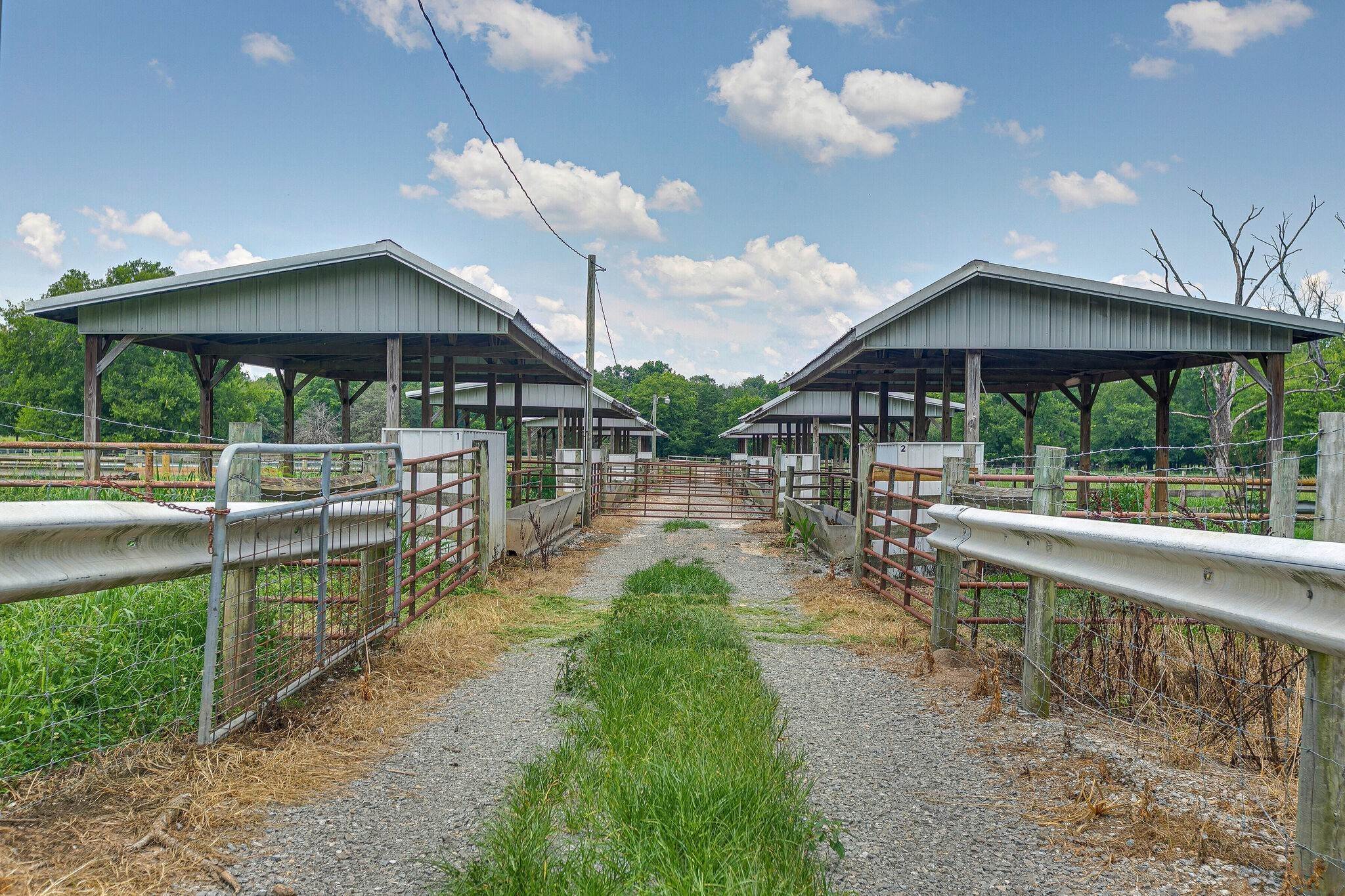 11. Farm for Sale at 3008 Luke Moser Road Columbia, Tennessee 38401 United States
