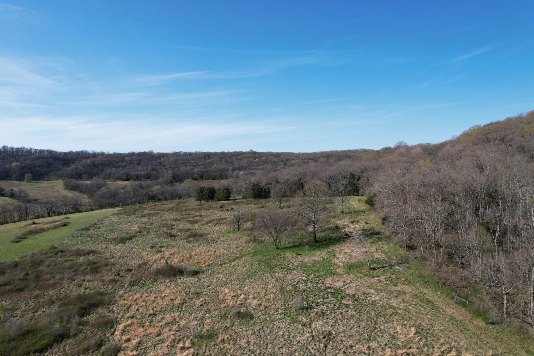 13. Land for Sale at 4080 Wilson Pike Franklin, Tennessee 37067 United States