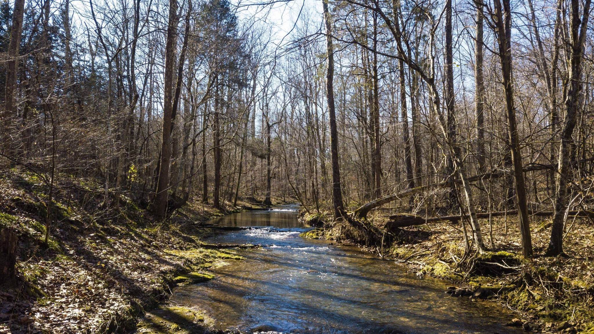 34. Land for Sale at Bahne Road Fairview, Tennessee 37062 United States