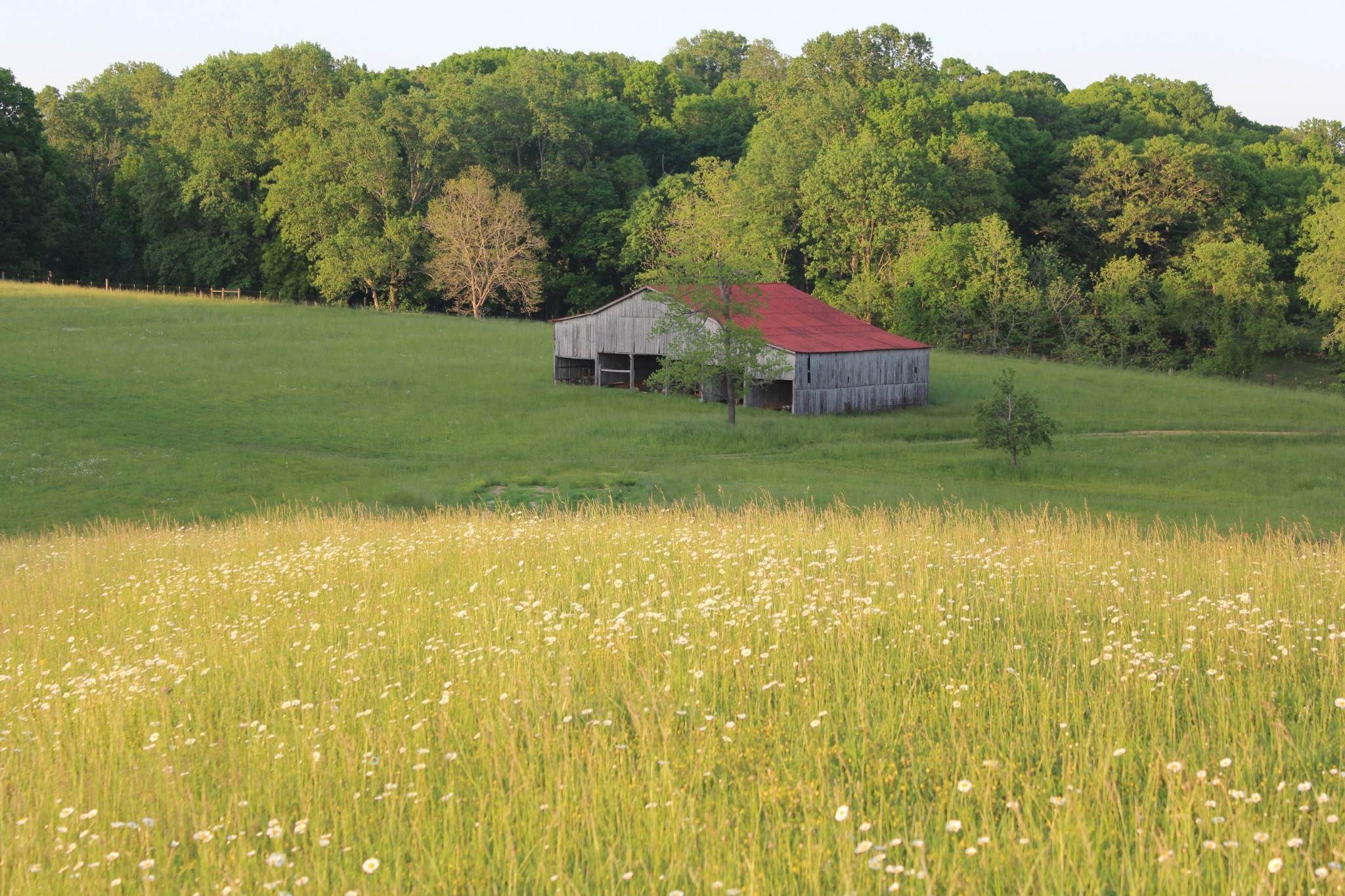 Farm for Sale at 1000 Morrow Branch Road Lynnville, Tennessee 38472 United States