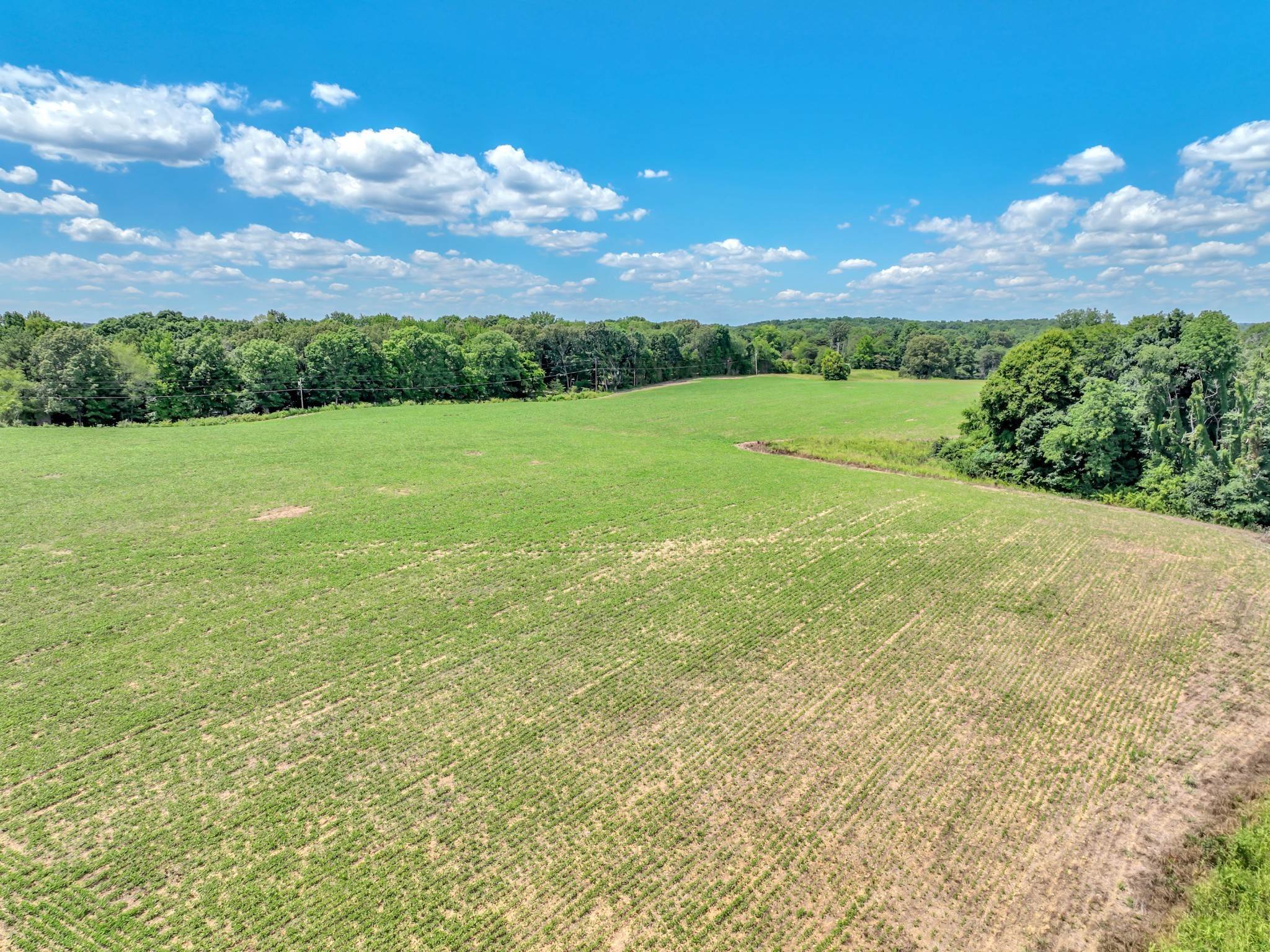 14. Farm for Sale at Bryant Road Ashland City, Tennessee 37015 United States