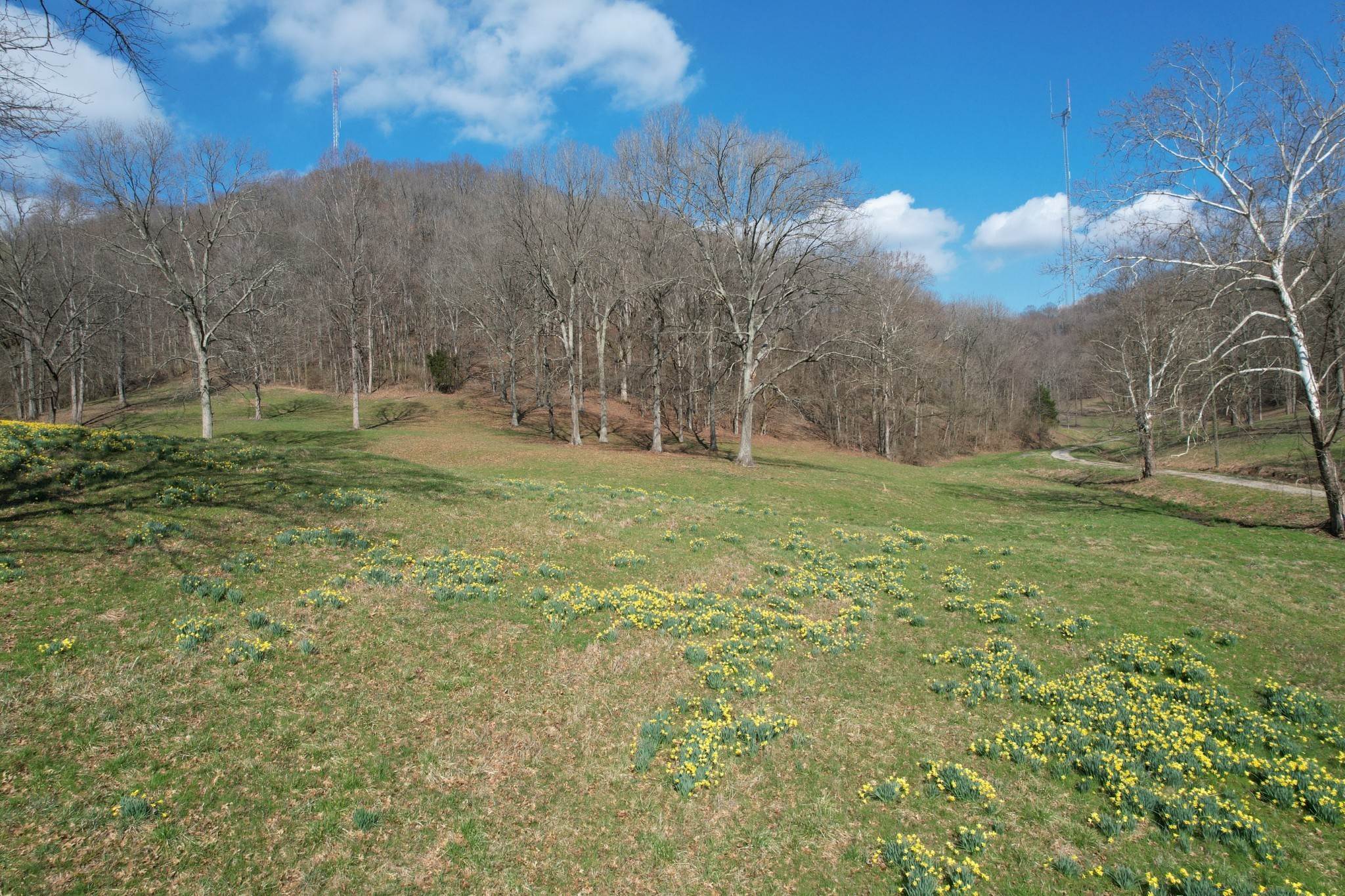 9. Farm for Sale at 3833 Knight Drive Whites Creek, Tennessee 37189 United States