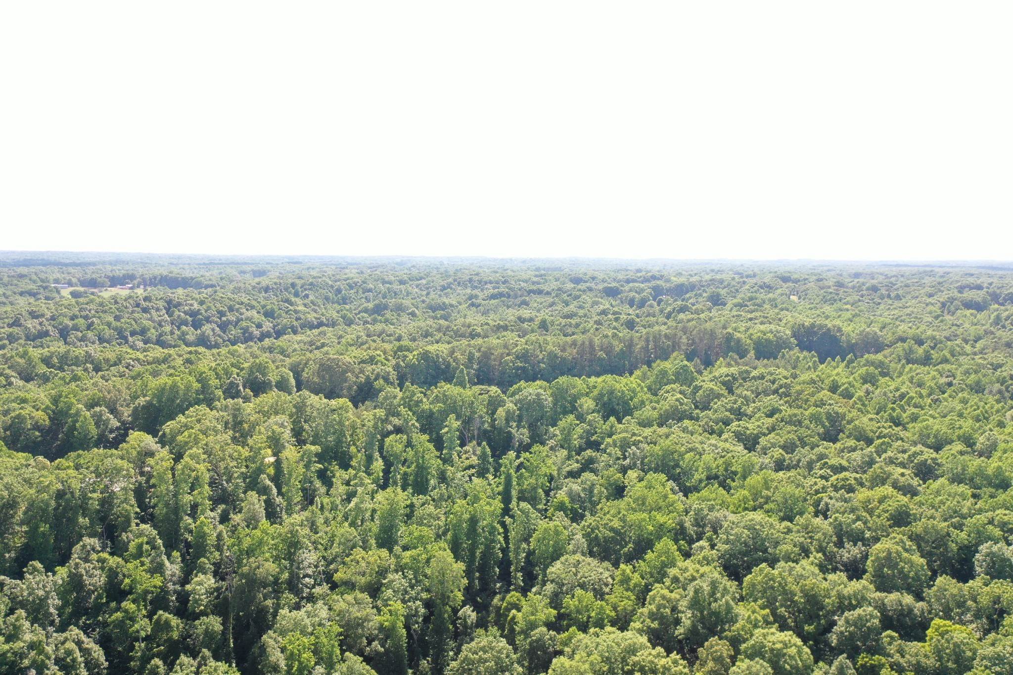 6. Land for Sale at Fairview Blvd Fairview, Tennessee 37062 United States