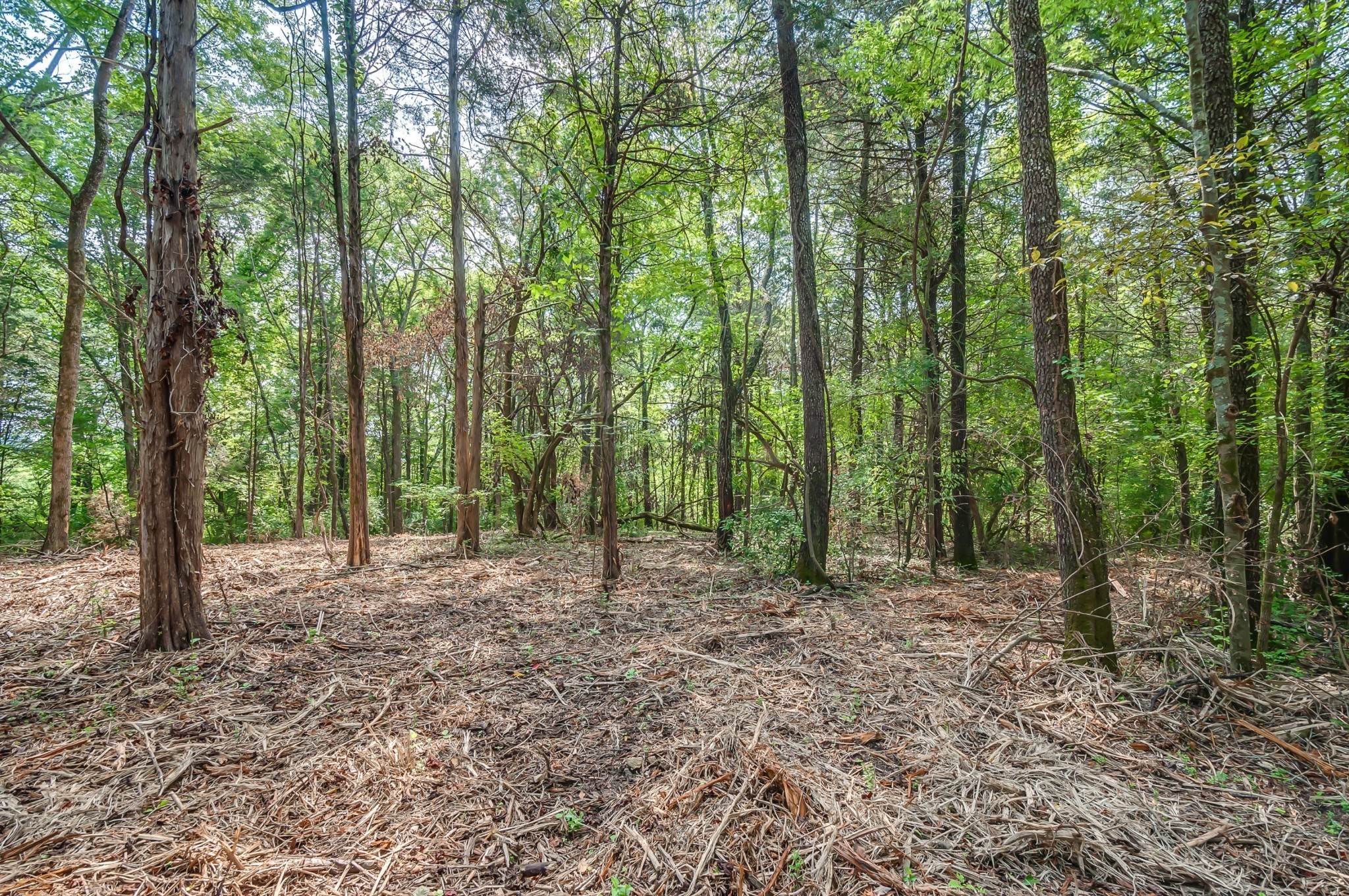 36. Land for Sale at River Road Ashland City, Tennessee 37015 United States