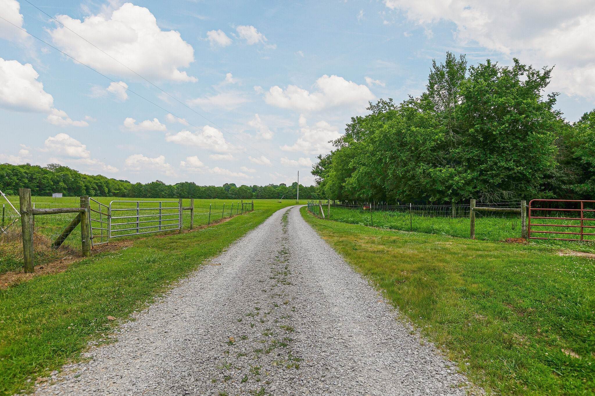 38. Farm for Sale at 3008 Luke Moser Road Columbia, Tennessee 38401 United States