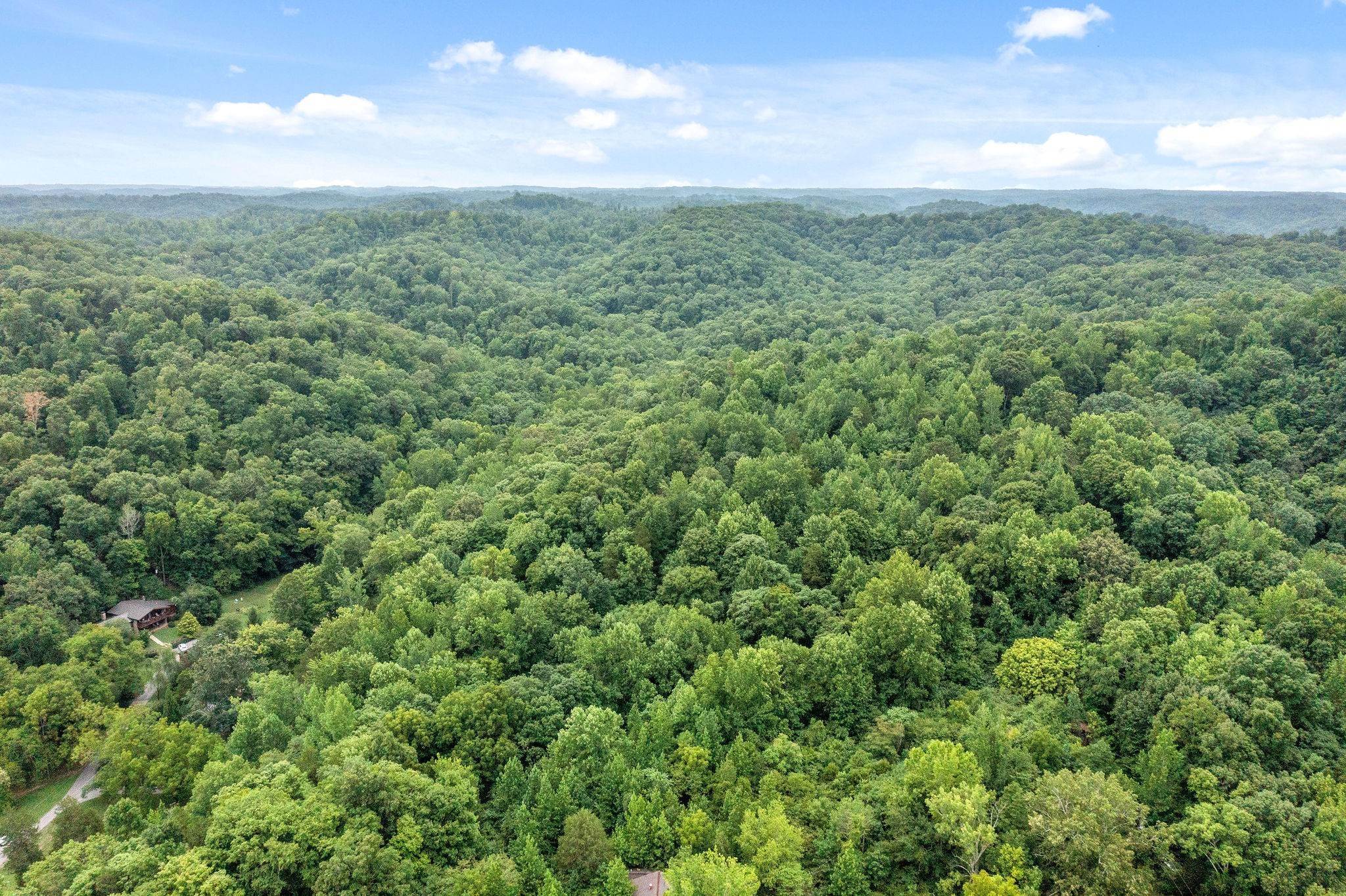 7. Land for Sale at 3710 River Road Ashland City, Tennessee 37015 United States