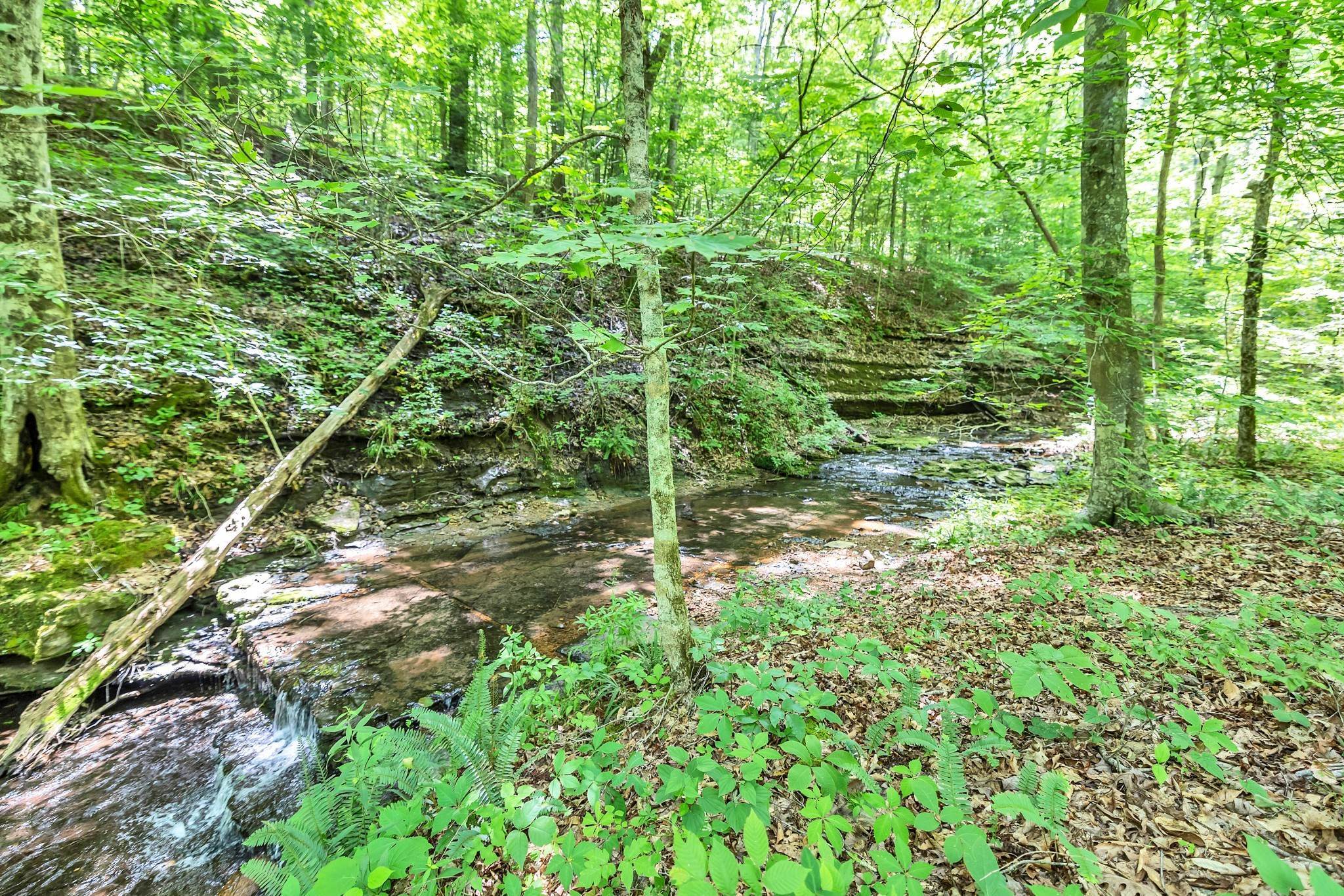 21. Land for Sale at Fairview Blvd Fairview, Tennessee 37062 United States