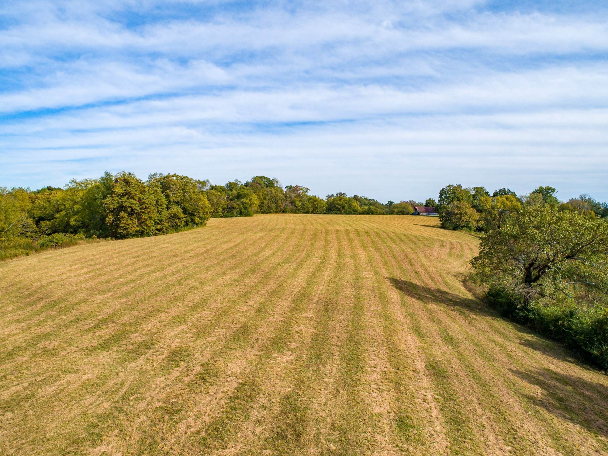 9. Land for Sale at 4157 Moss Road Antioch, Tennessee 37013 United States