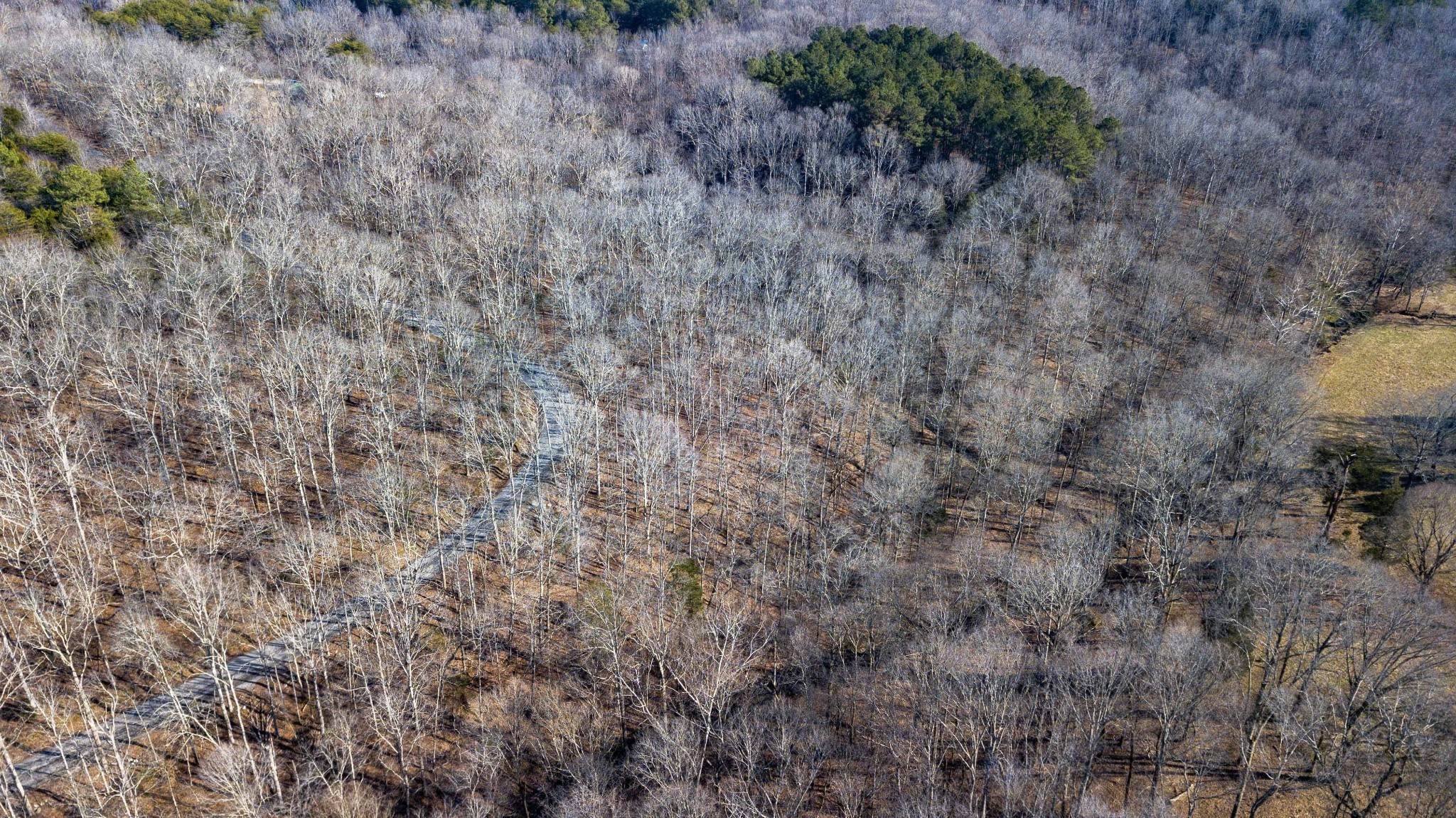 8. Land for Sale at Bahne Road Fairview, Tennessee 37062 United States