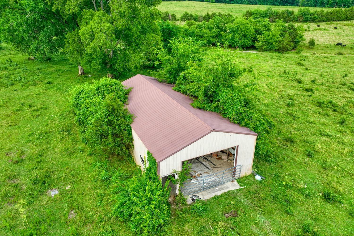 10. Farm for Sale at Elrod Mcelroy Road Milton, Tennessee 37118 United States