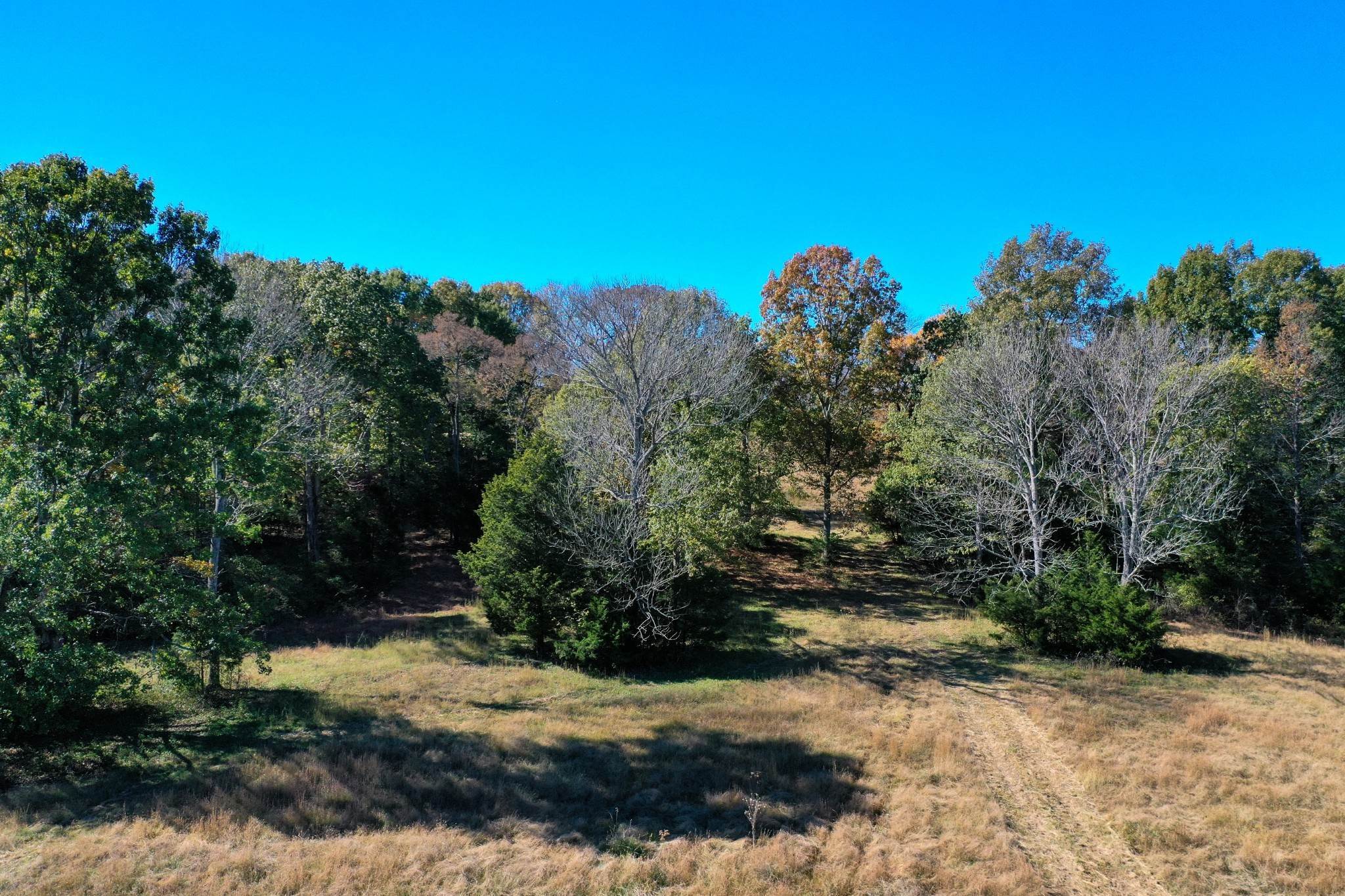 12. Farm for Sale at Sam Donald Road Nolensville, Tennessee 37135 United States