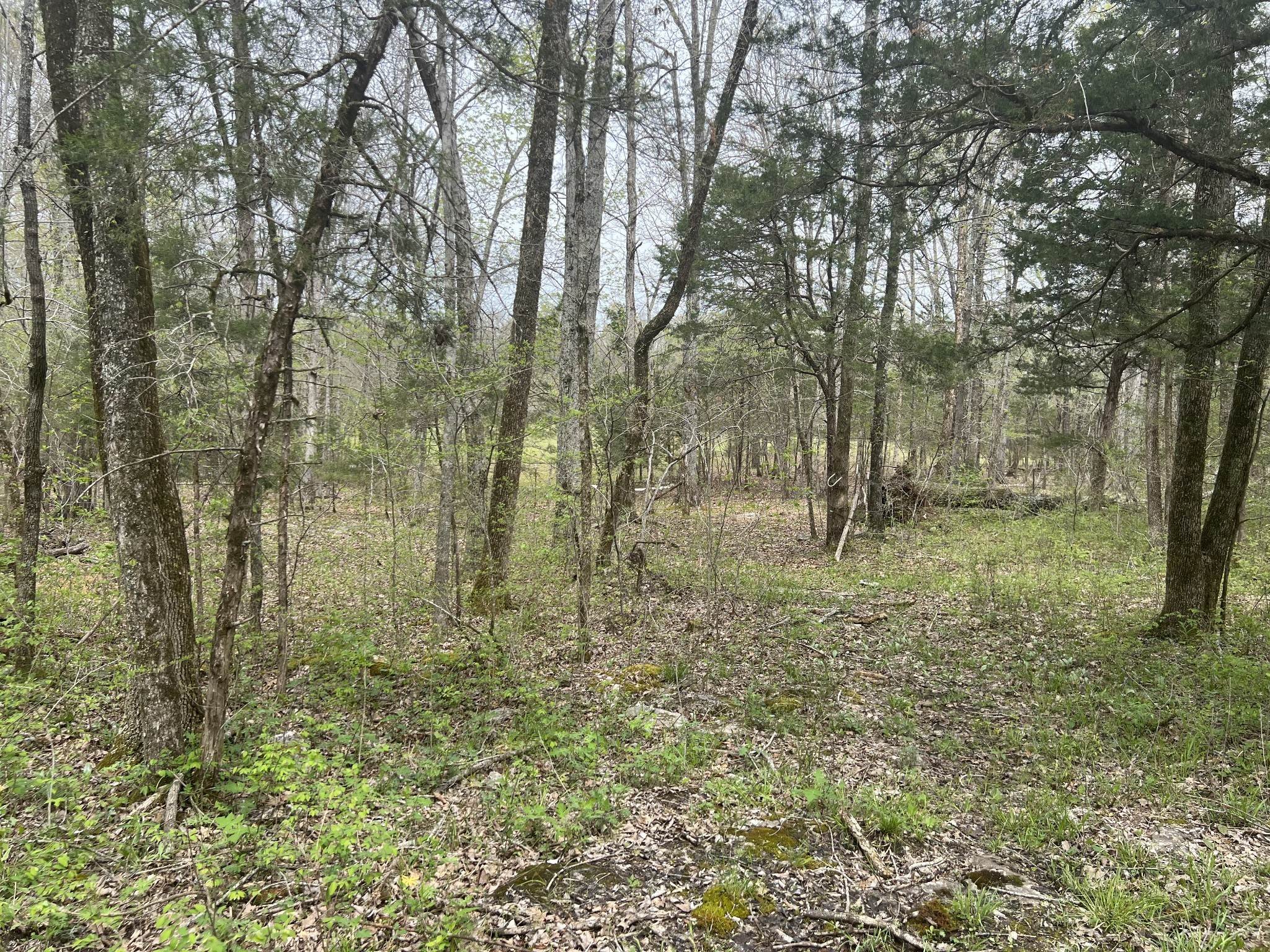 9. Land for Sale at 2618 Factory Road Murfreesboro, Tennessee 37130 United States