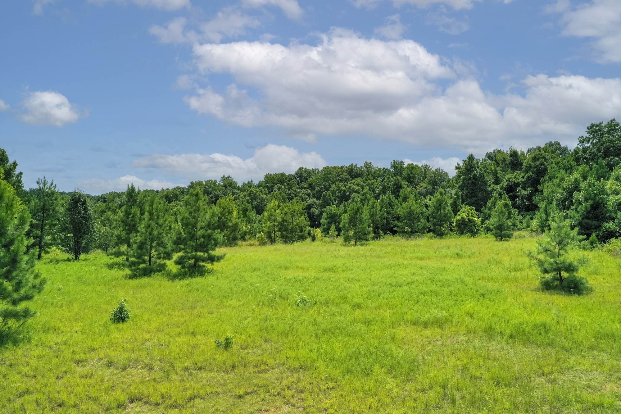 4. Land for Sale at Frey Street Ashland City, Tennessee 37015 United States
