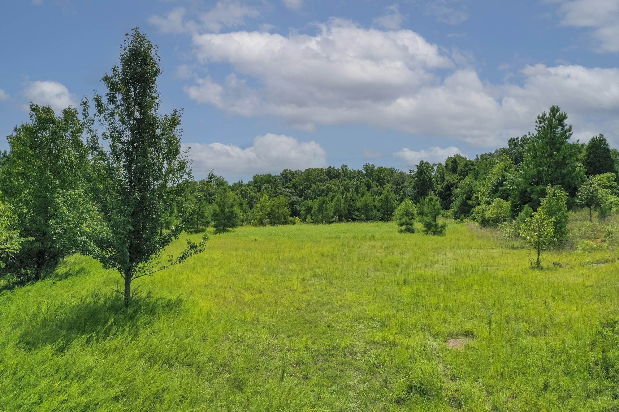 1. Land for Sale at Frey Street Ashland City, Tennessee 37015 United States