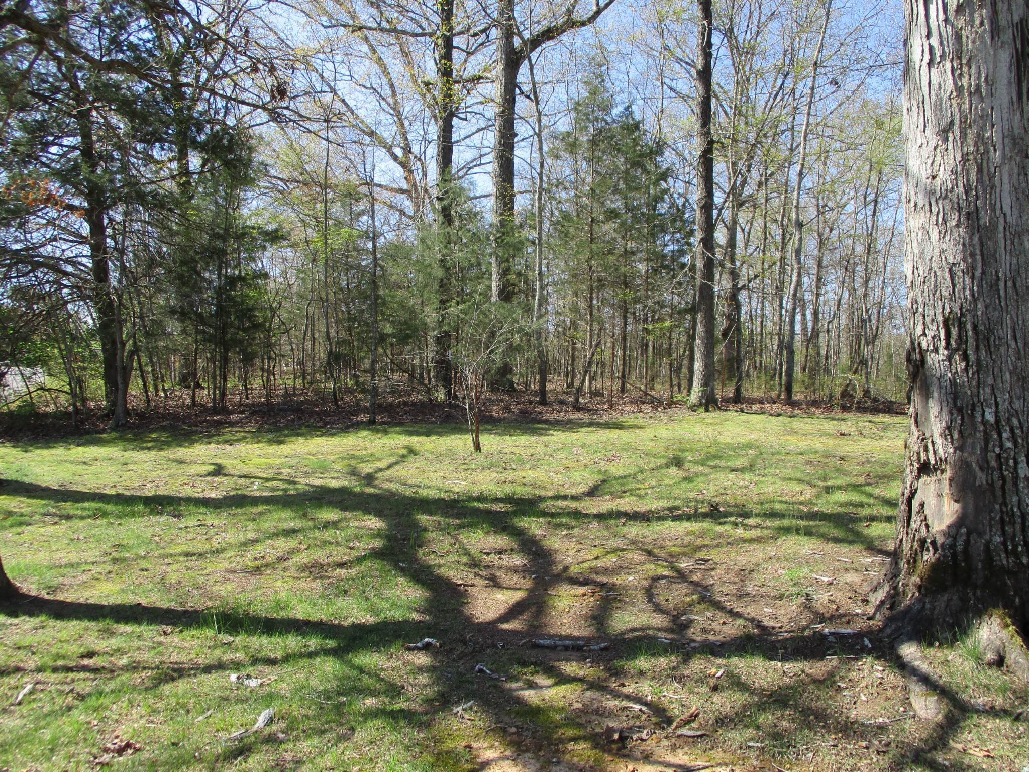 7. Farm for Sale at 7309 Crow Cut Road Fairview, Tennessee 37062 United States