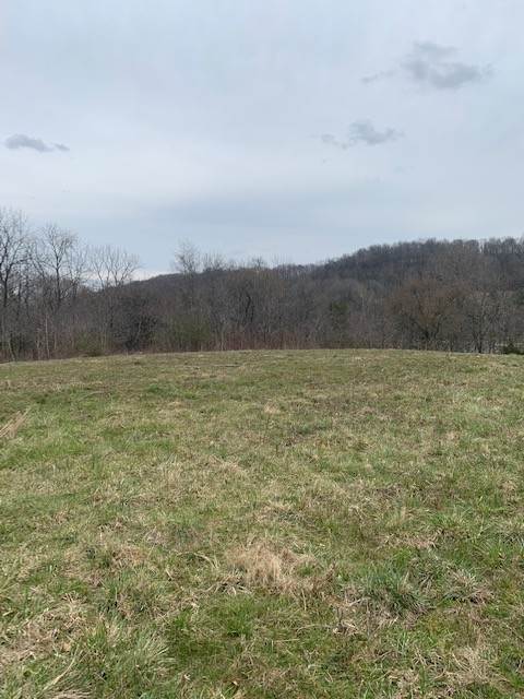 Farm for Sale at Campbellsville Pike Culleoka, Tennessee 38451 United States