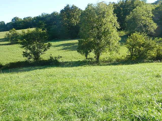 Property for Sale at Choctaw Road College Grove, Tennessee 37046 United States