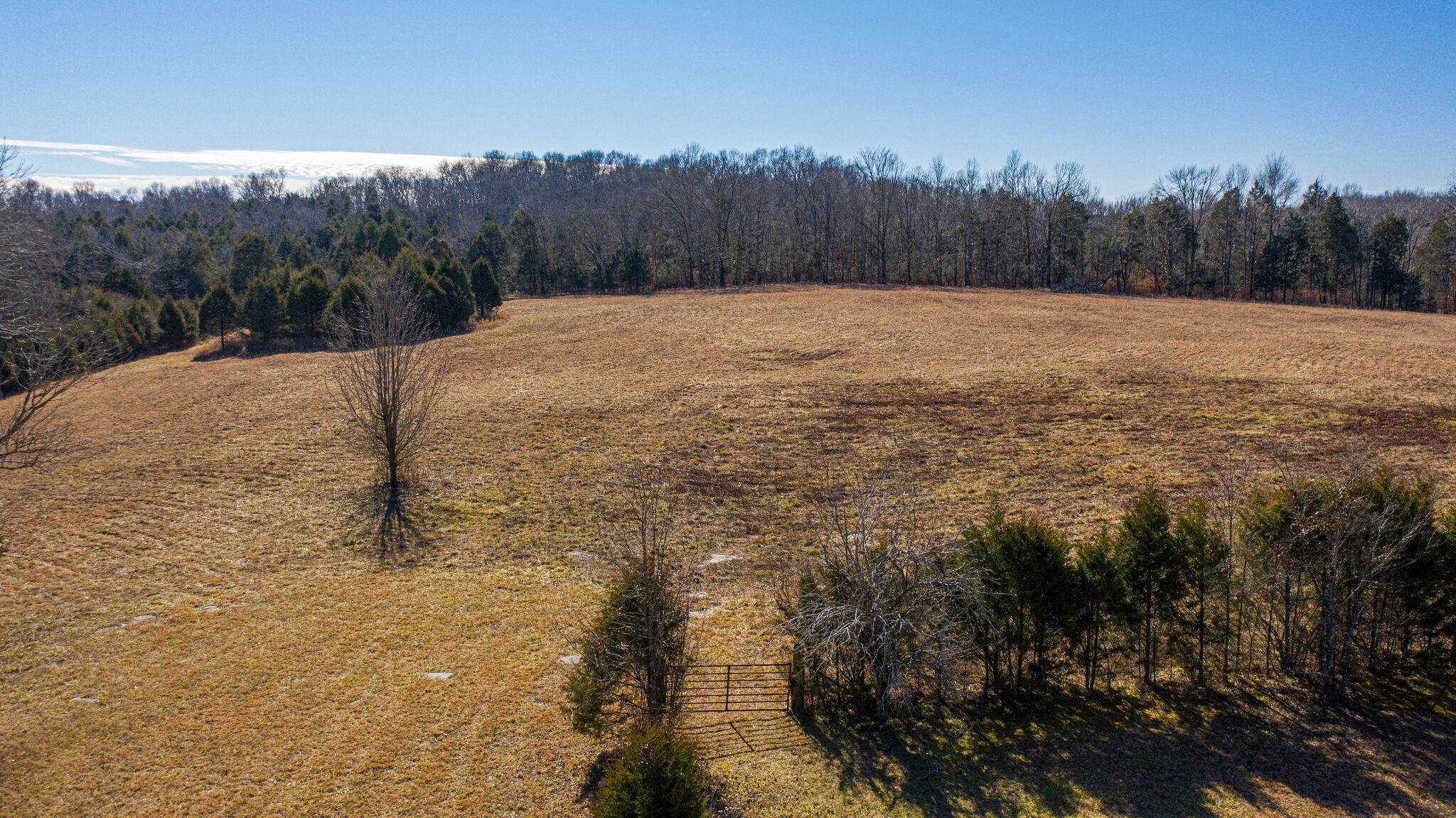 Farm for Sale at 310 Ramsey Road Lebanon, Tennessee 37087 United States