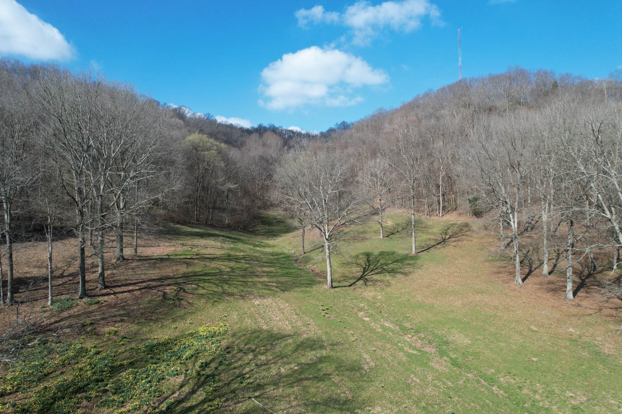 29. Farm for Sale at 3833 Knight Drive Whites Creek, Tennessee 37189 United States
