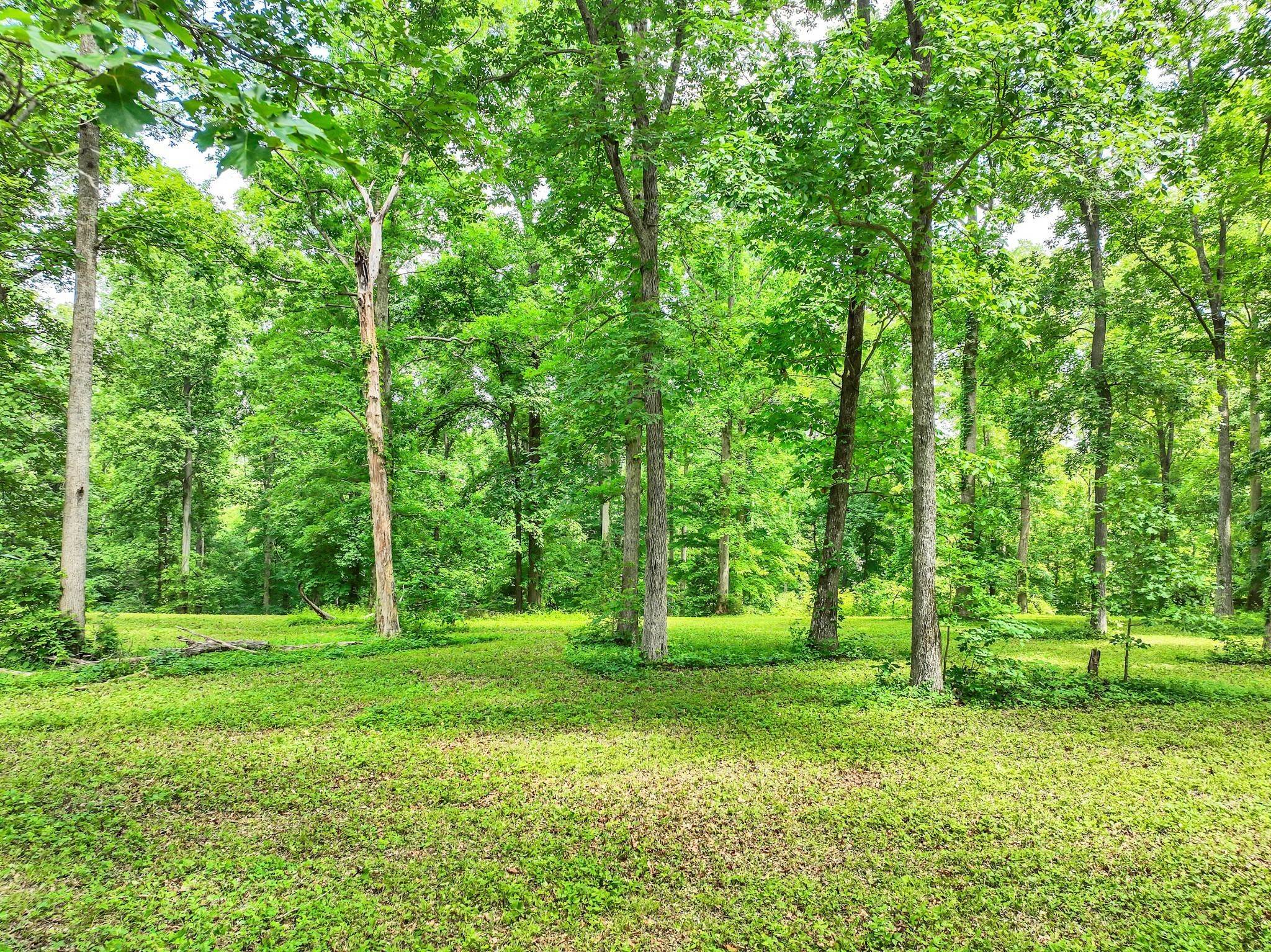 30. Land for Sale at 5185 Old Harding Road Franklin, Tennessee 37064 United States