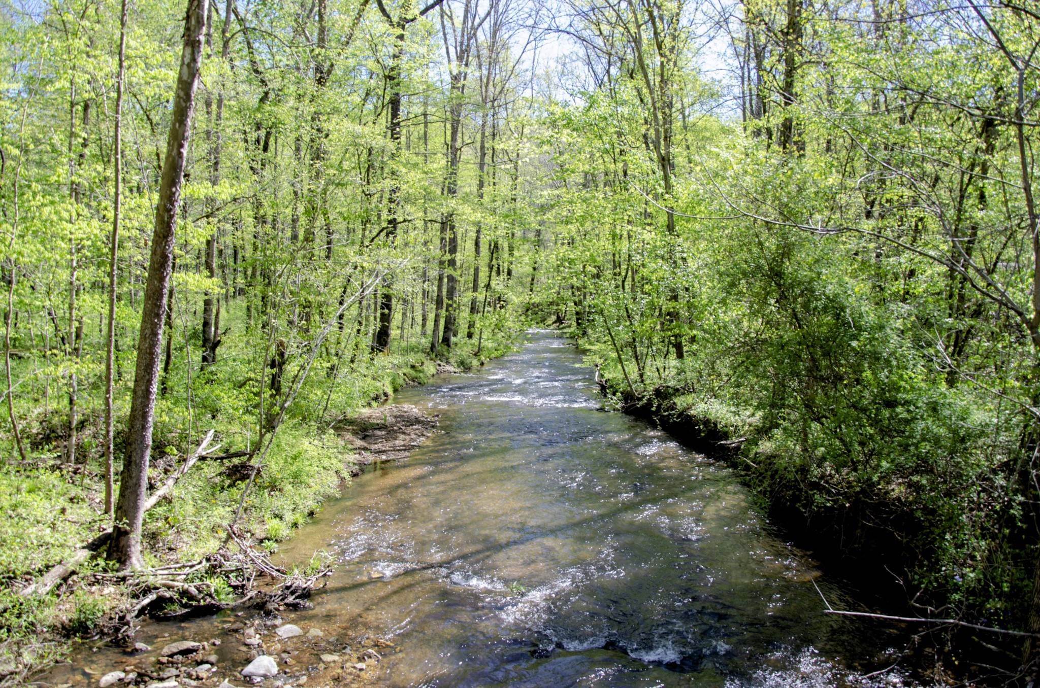 46. Land for Sale at Bahne Road Fairview, Tennessee 37062 United States