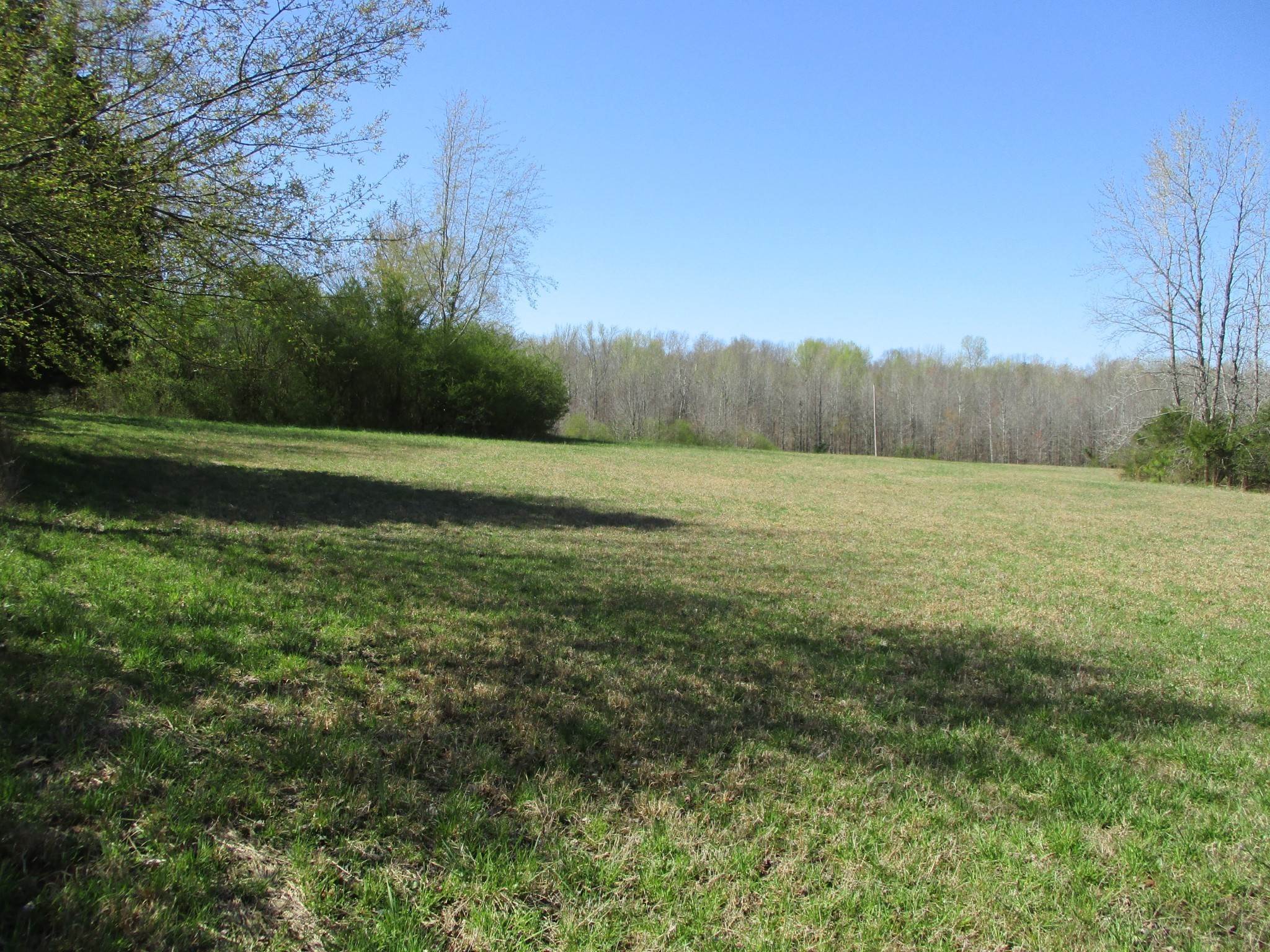 5. Farm for Sale at 7309 Crow Cut Road Fairview, Tennessee 37062 United States