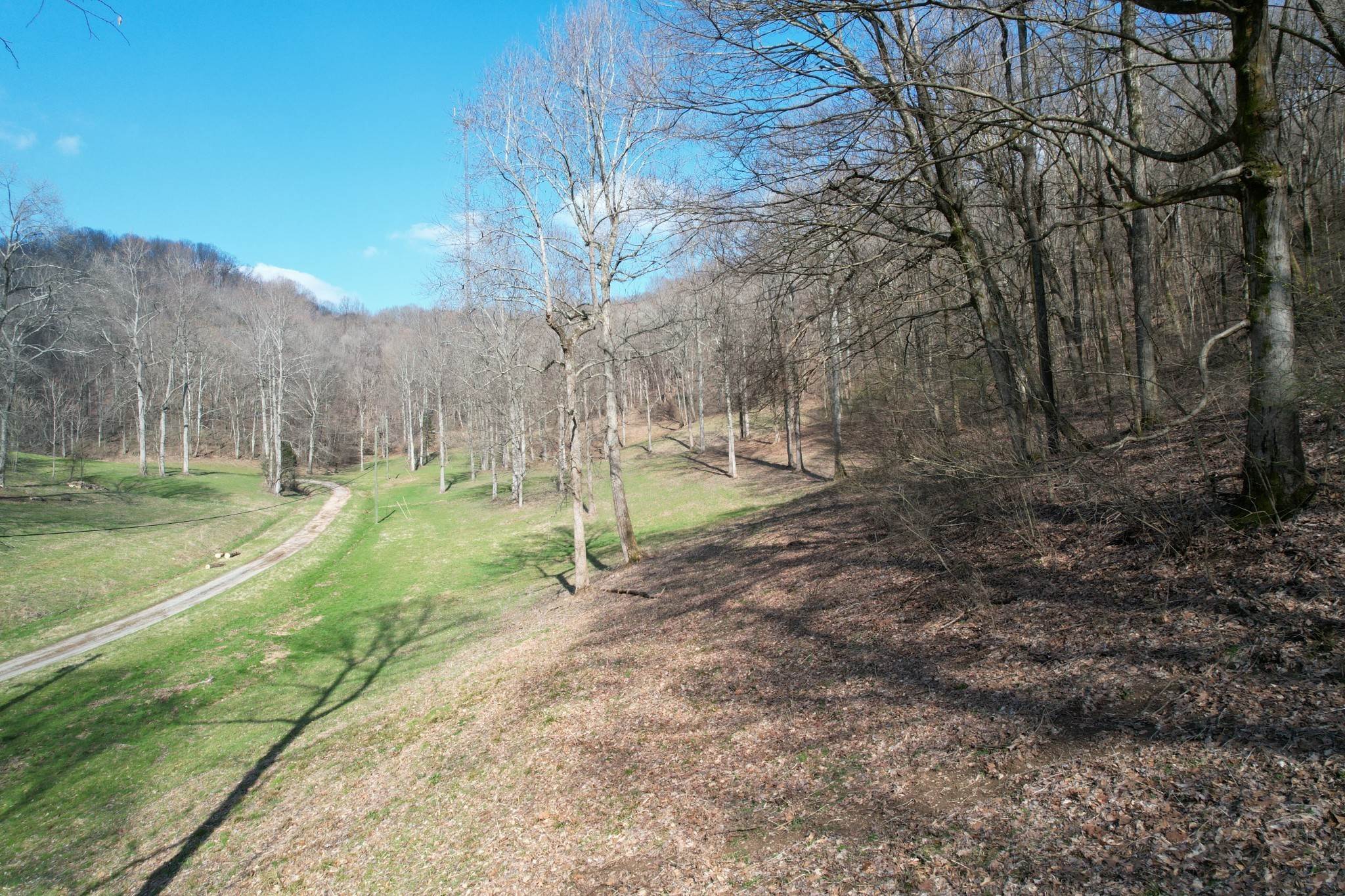 40. Farm for Sale at 3833 Knight Drive Whites Creek, Tennessee 37189 United States