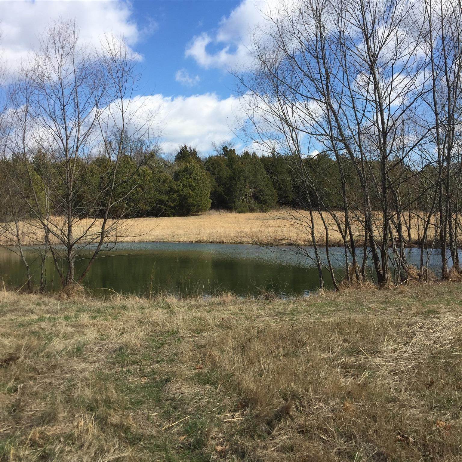 Land for Sale at 8285 Haley Road College Grove, Tennessee 37046 United States