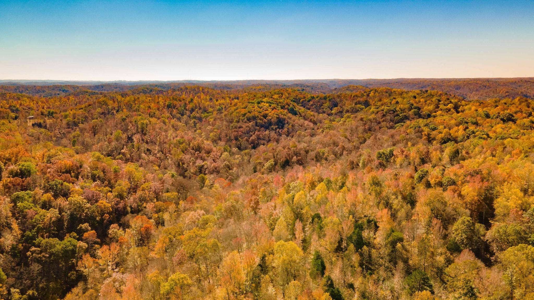 1. Land for Sale at 3710 River Road Ashland City, Tennessee 37015 United States
