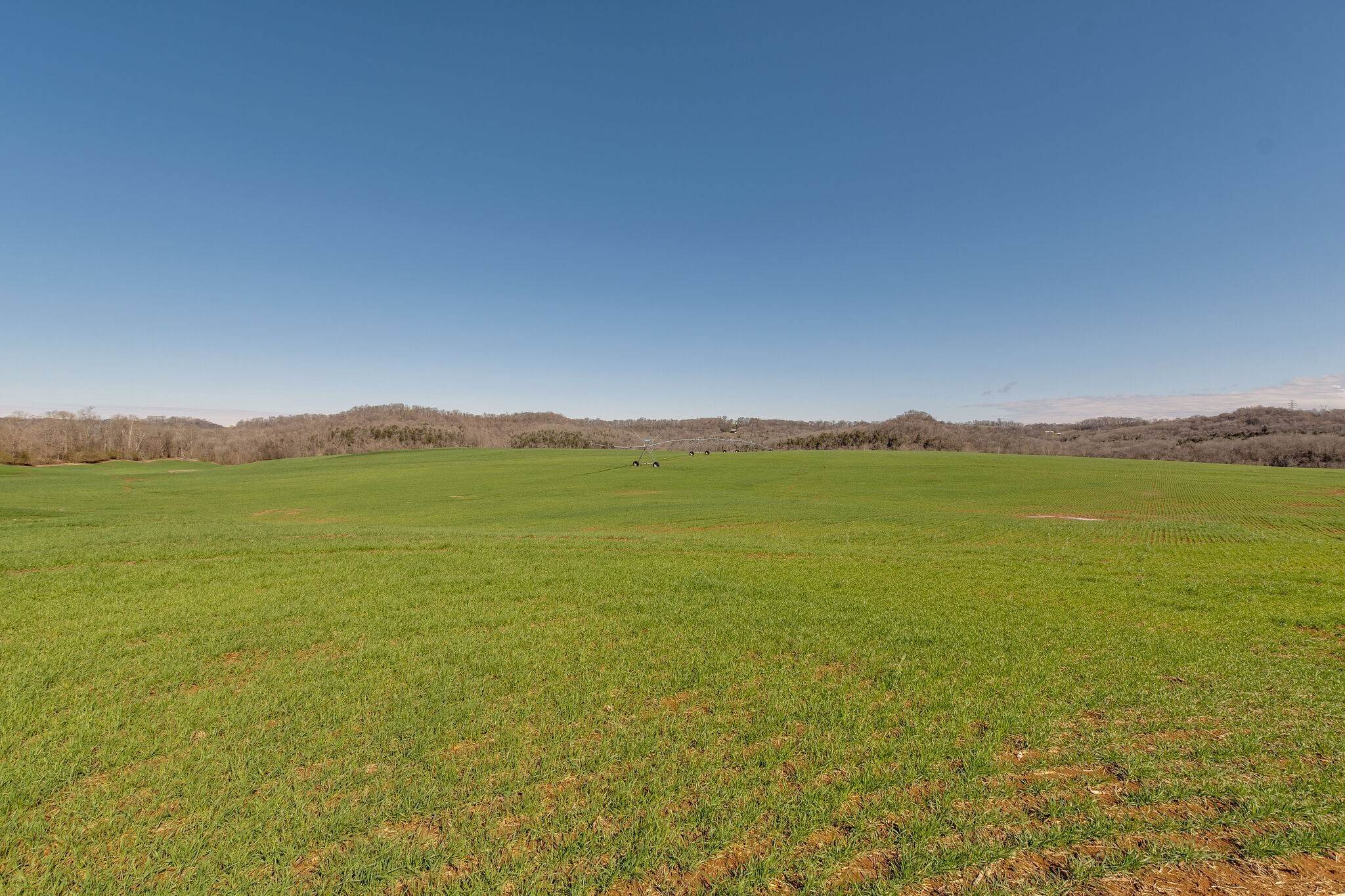37. Farm for Sale at Parsons Bend Road Columbia, Tennessee 38401 United States