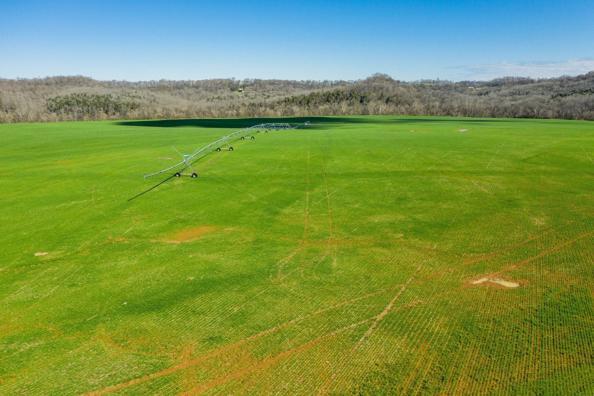 10. Farm for Sale at Parsons Bend Road Columbia, Tennessee 38401 United States