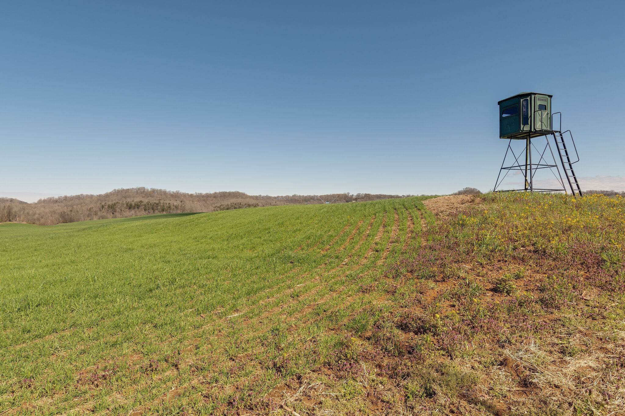 36. Farm for Sale at Parsons Bend Road Columbia, Tennessee 38401 United States