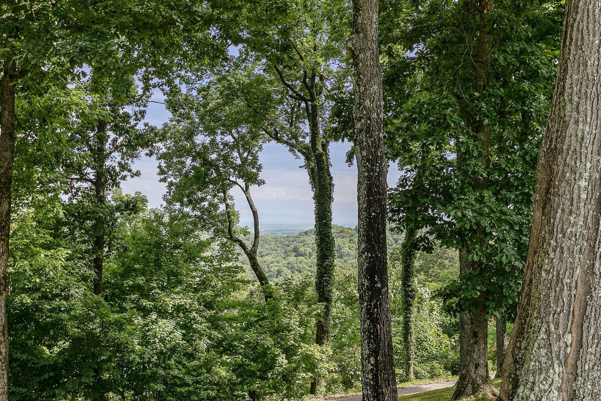 7. Land for Sale at 1035 Magic Mountain Lane Nolensville, Tennessee 37135 United States