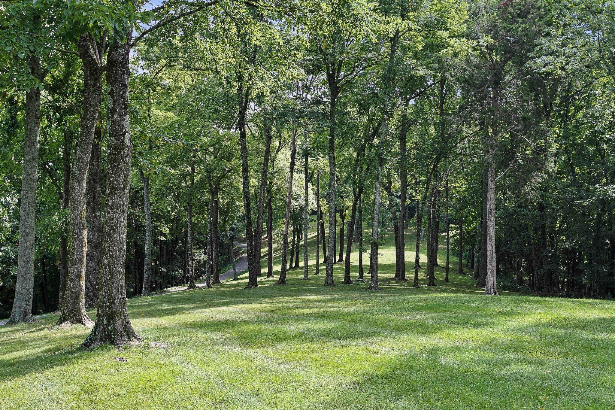 8. Land for Sale at 1035 Magic Mountain Lane Nolensville, Tennessee 37135 United States