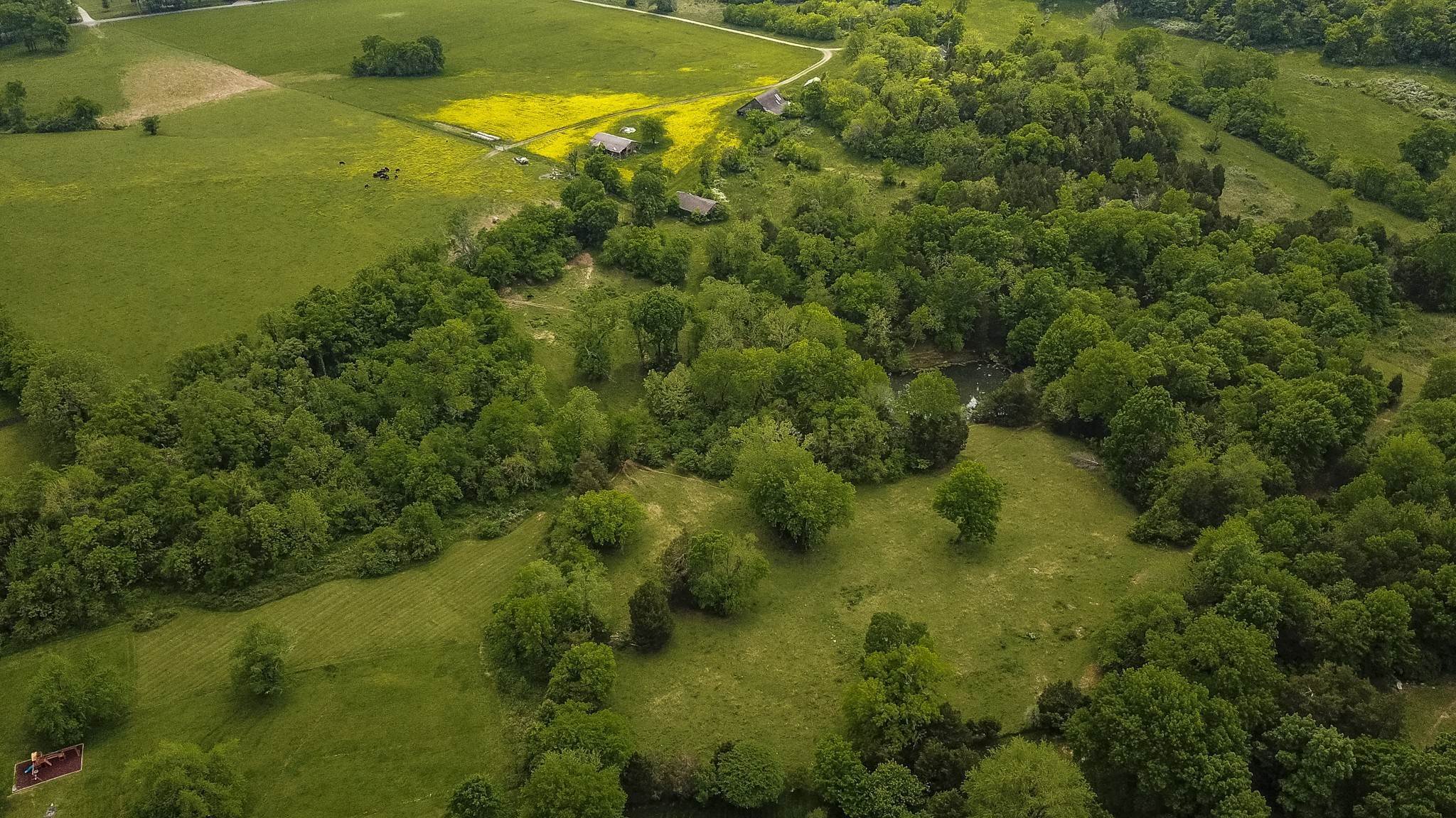 12. Farm for Sale at Forest Retreat Road Hendersonville, Tennessee 37075 United States