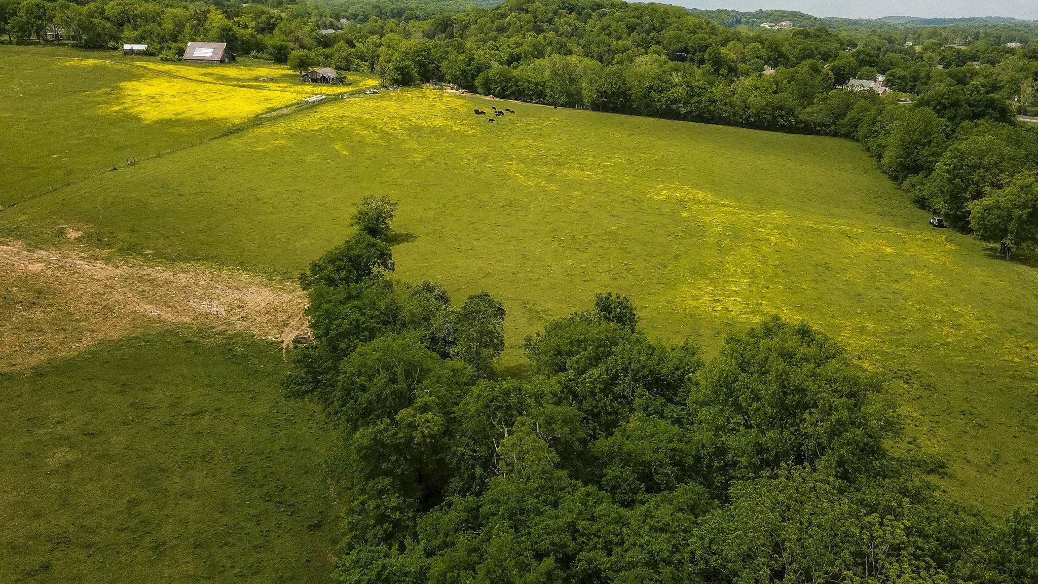 31. Farm for Sale at Forest Retreat Road Hendersonville, Tennessee 37075 United States