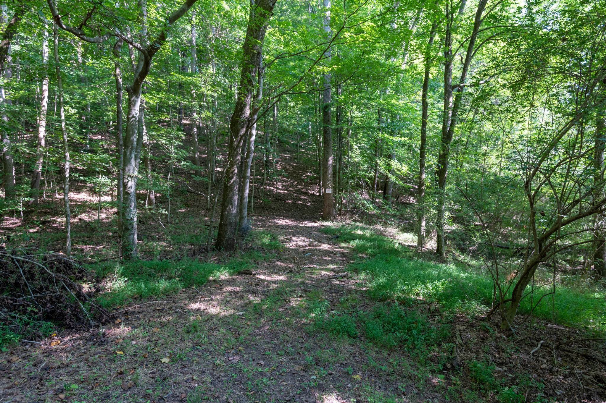 6. Land for Sale at Crocker Springs Road Goodlettsville, Tennessee 37072 United States