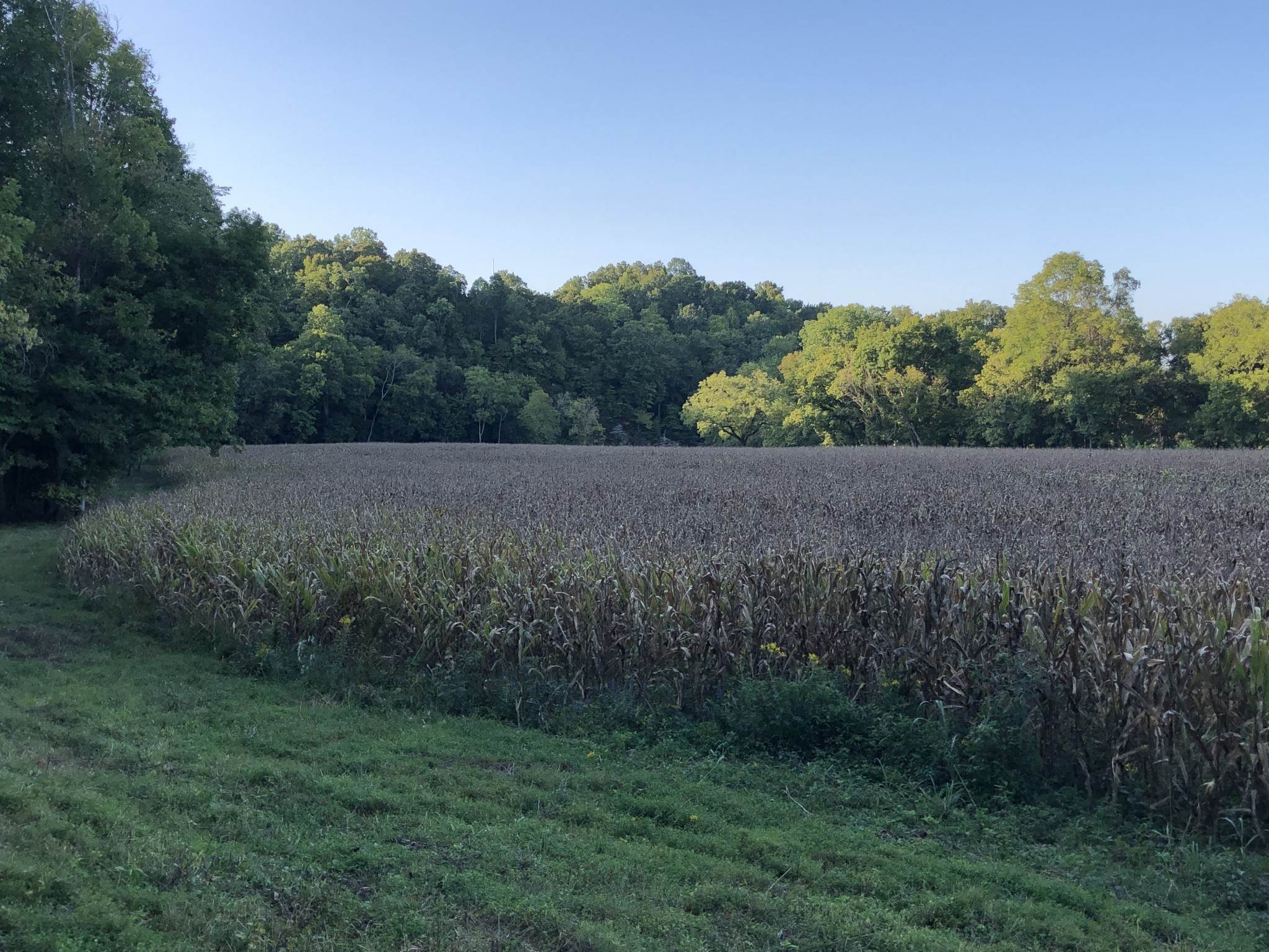 11. Land for Sale at 749 Mathis Road Charlotte, Tennessee 37036 United States