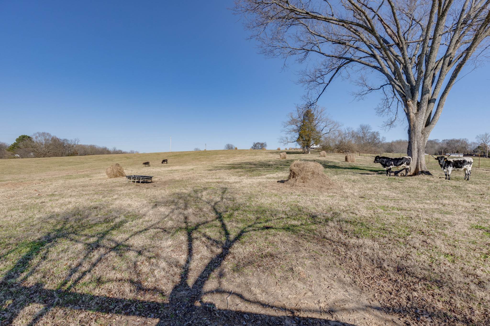 43. Farm for Sale at 3177 Jim Warren Road Spring Hill, Tennessee 37174 United States