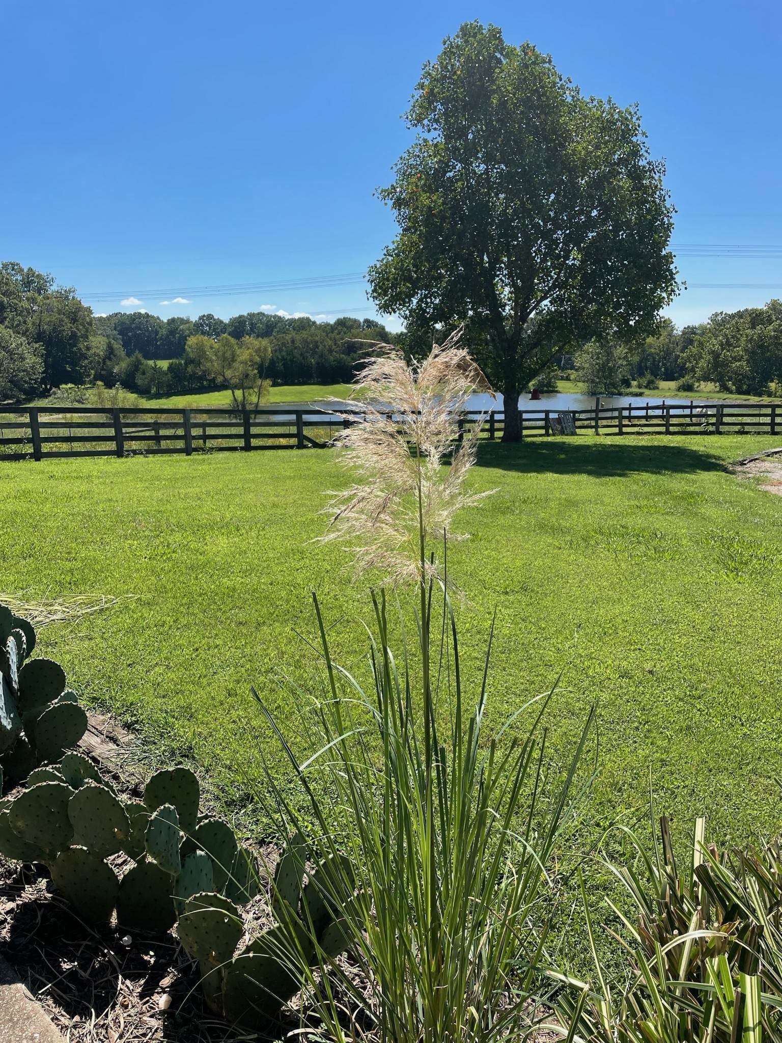 26. Farm for Sale at 3177 Jim Warren Road Spring Hill, Tennessee 37174 United States