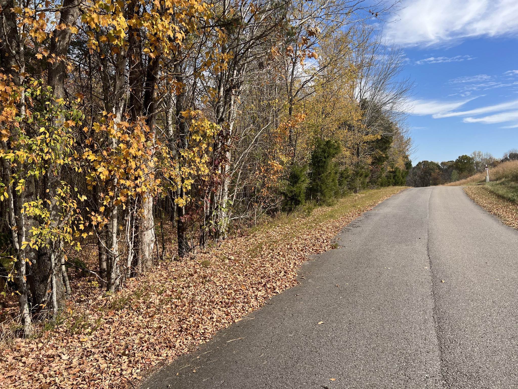17. Land for Sale at 1060 Old Ferry Road Charlotte, Tennessee 37036 United States