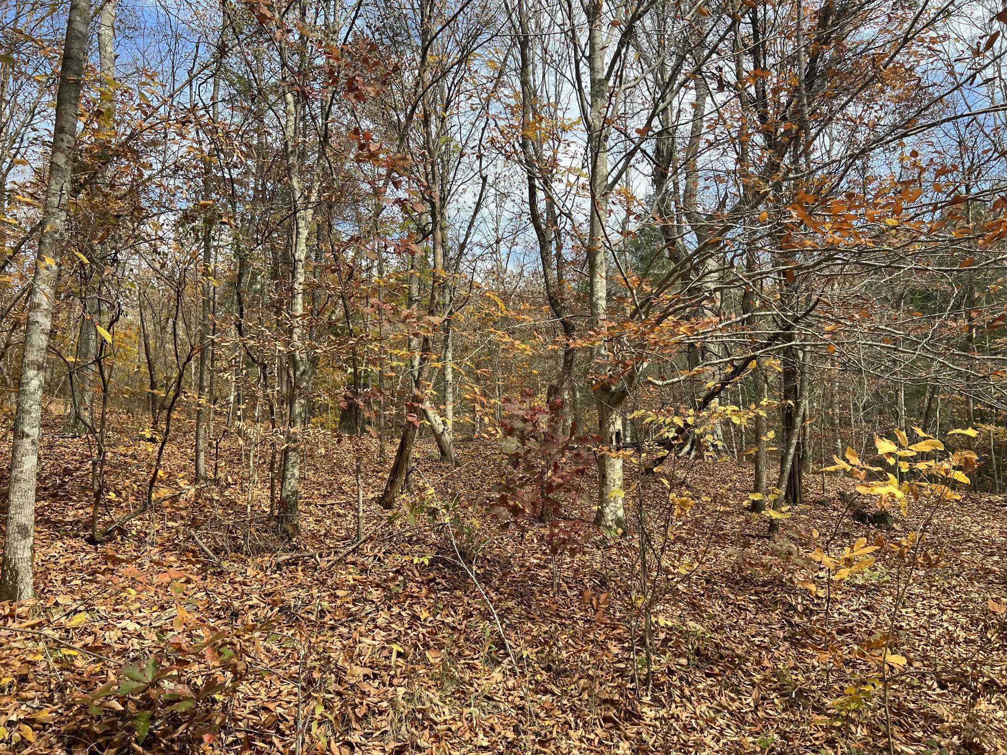 42. Land for Sale at 1060 Old Ferry Road Charlotte, Tennessee 37036 United States