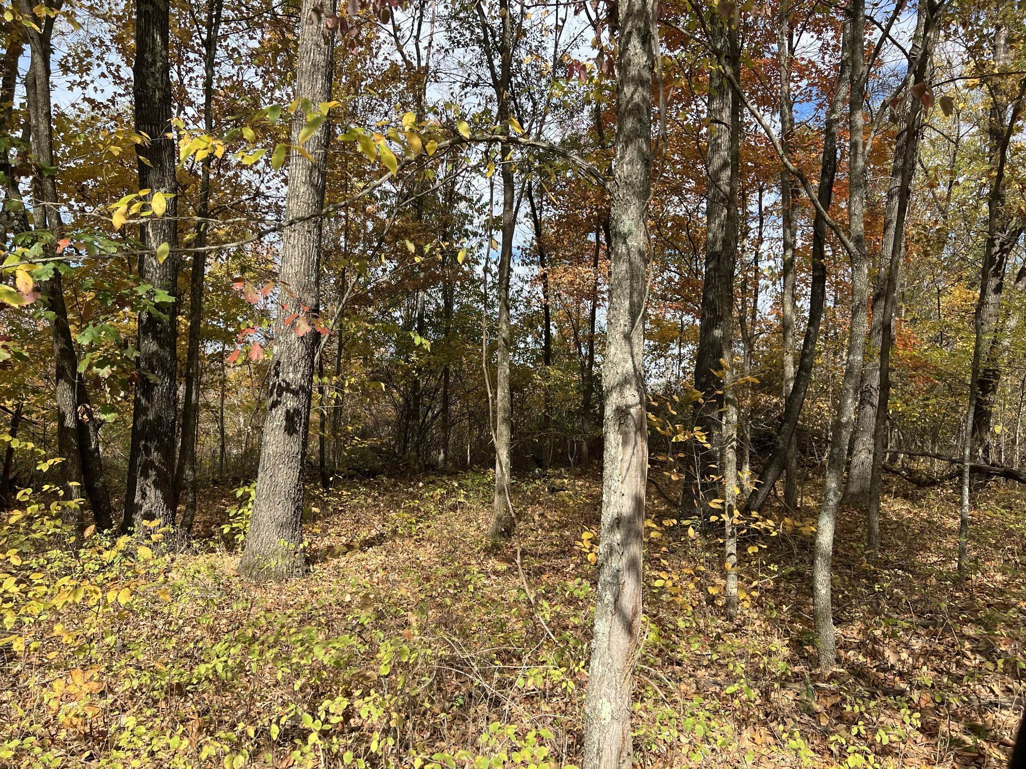 29. Land for Sale at 1060 Old Ferry Road Charlotte, Tennessee 37036 United States
