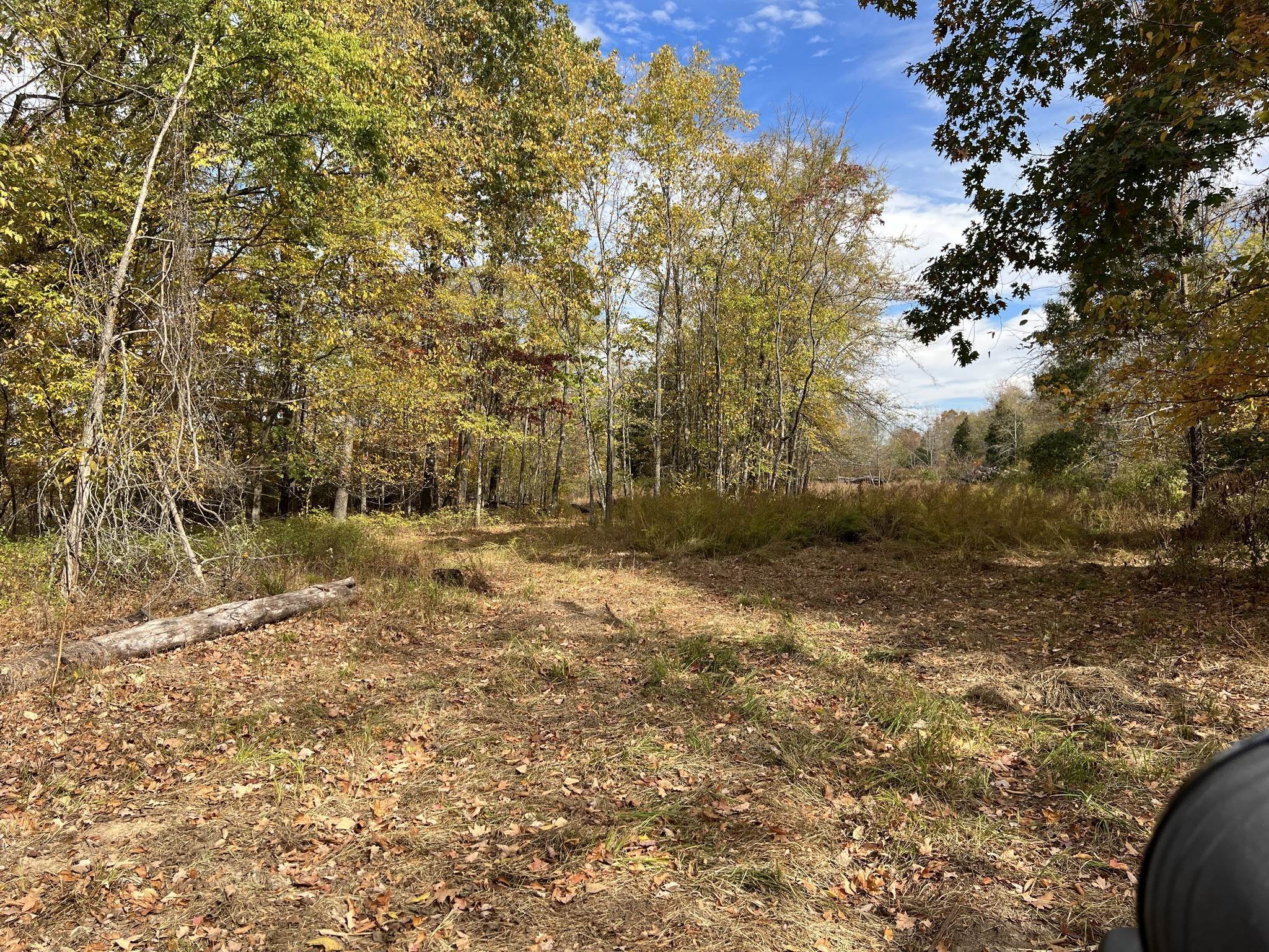 30. Land for Sale at 1060 Old Ferry Road Charlotte, Tennessee 37036 United States