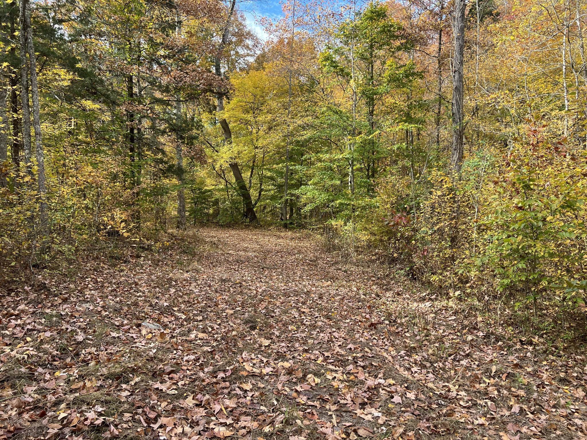 24. Land for Sale at 1060 Old Ferry Road Charlotte, Tennessee 37036 United States
