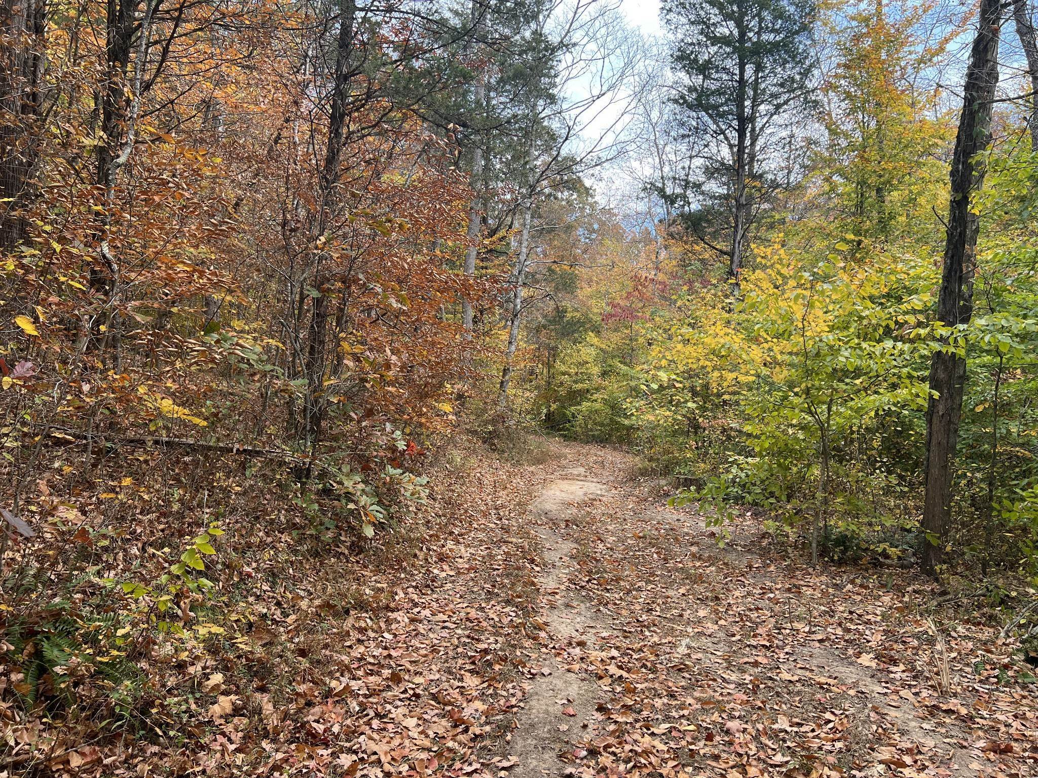 39. Land for Sale at 1060 Old Ferry Road Charlotte, Tennessee 37036 United States