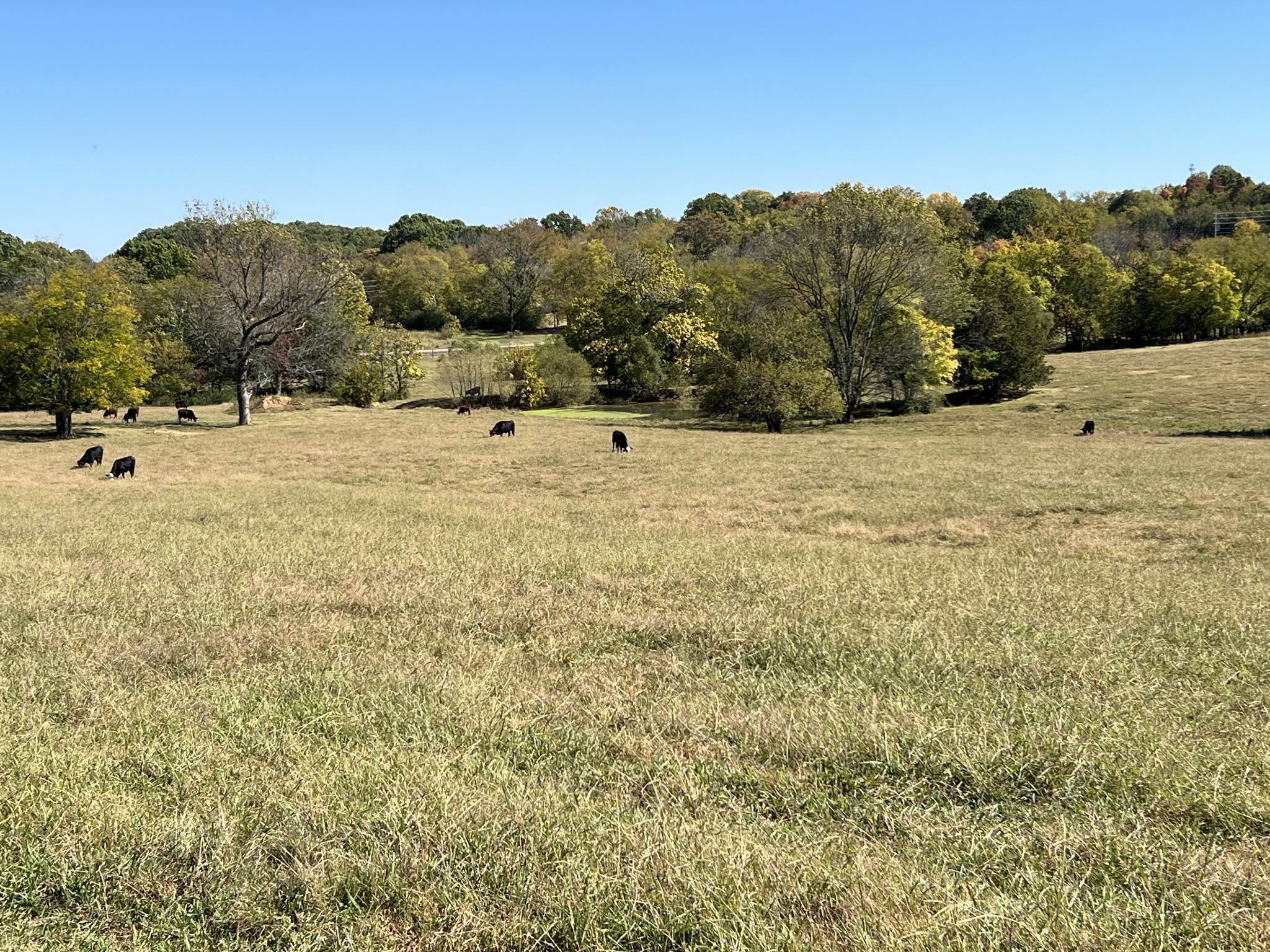 29. Land for Sale at 3599 Greens Mill Road Spring Hill, Tennessee 37174 United States