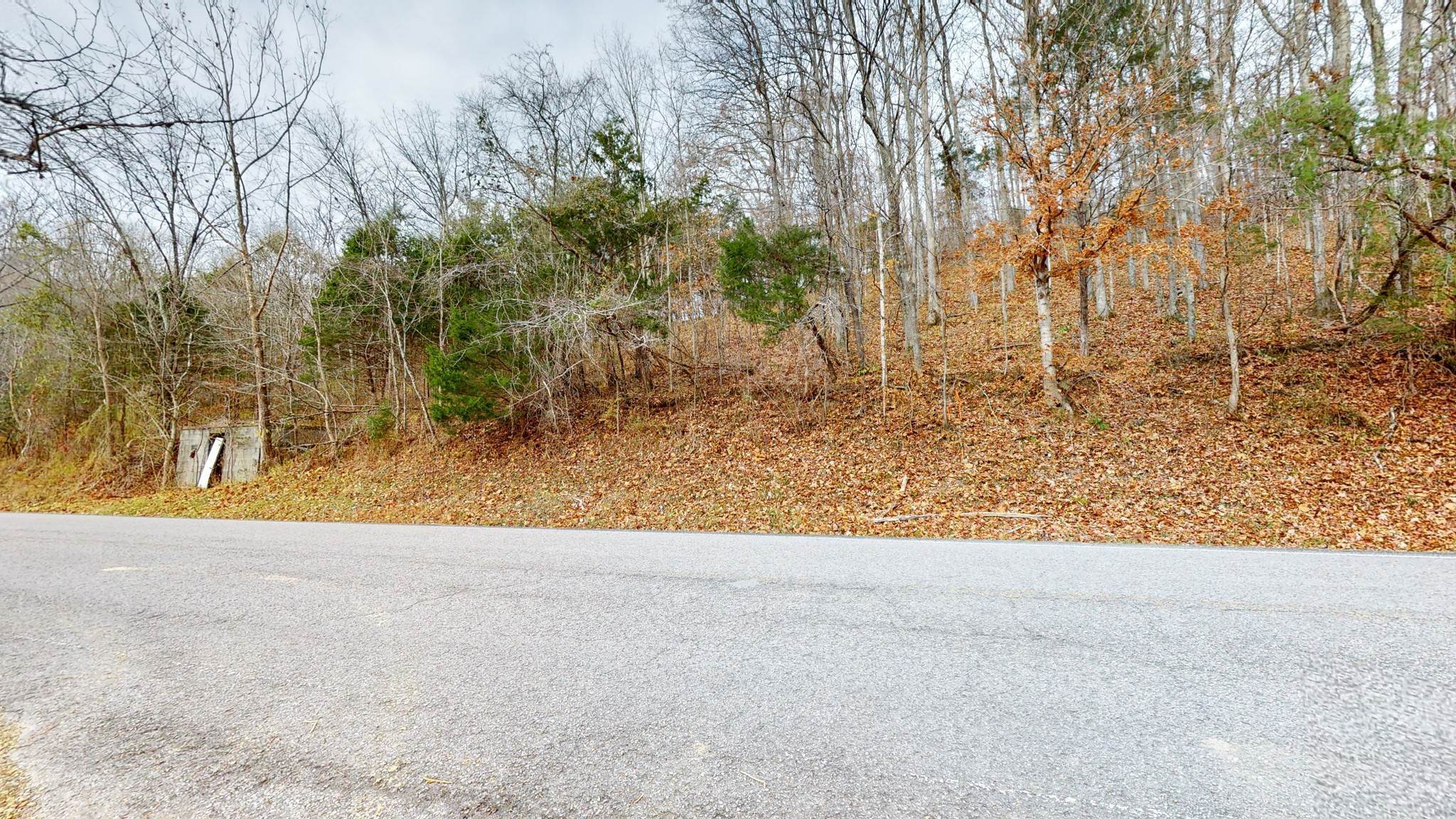 18. Land for Sale at Brush Creek Road Fairview, Tennessee 37062 United States