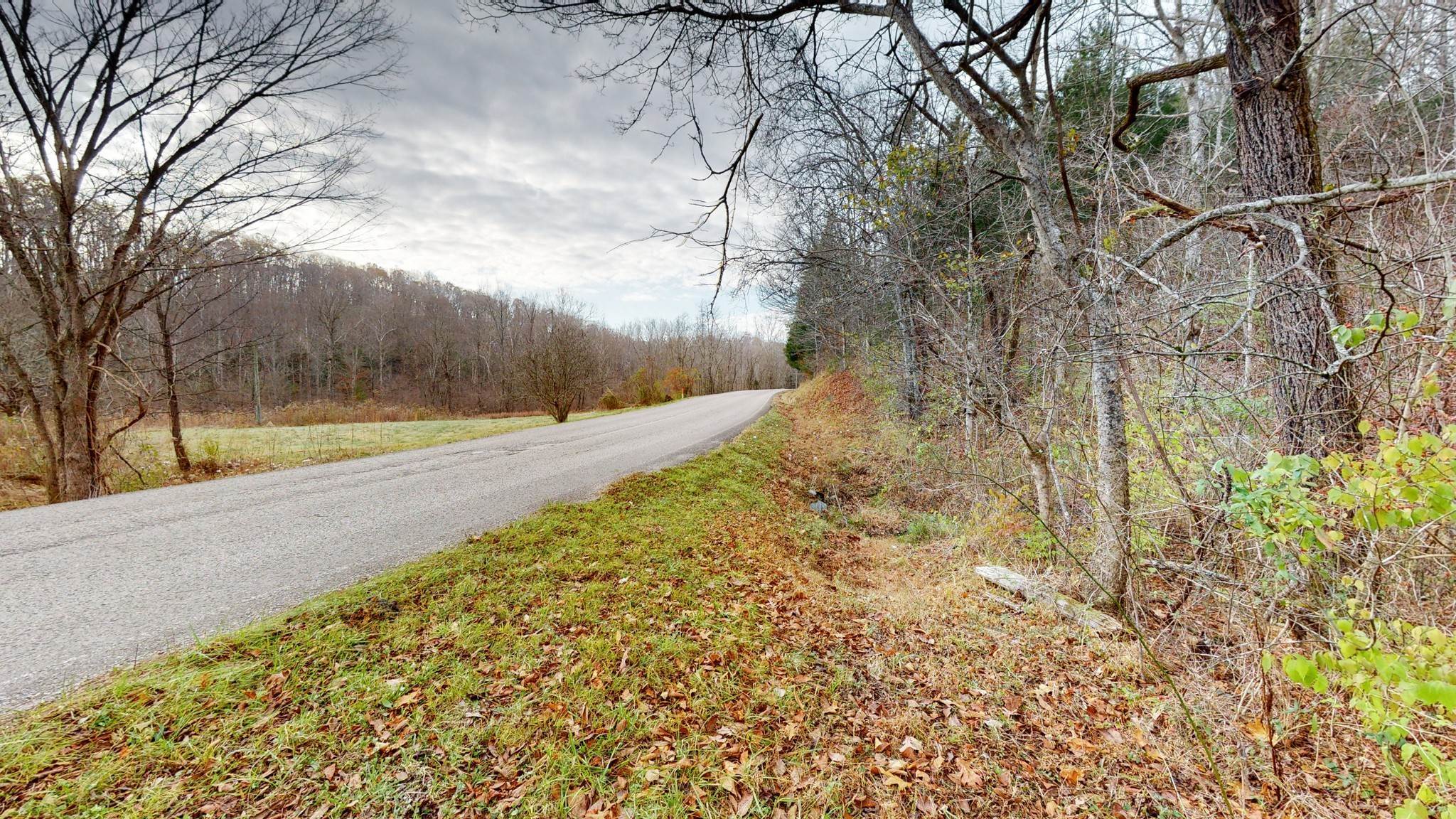 2. Land for Sale at Brush Creek Road Fairview, Tennessee 37062 United States